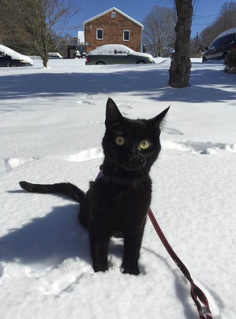 user avatar image for GailOlm