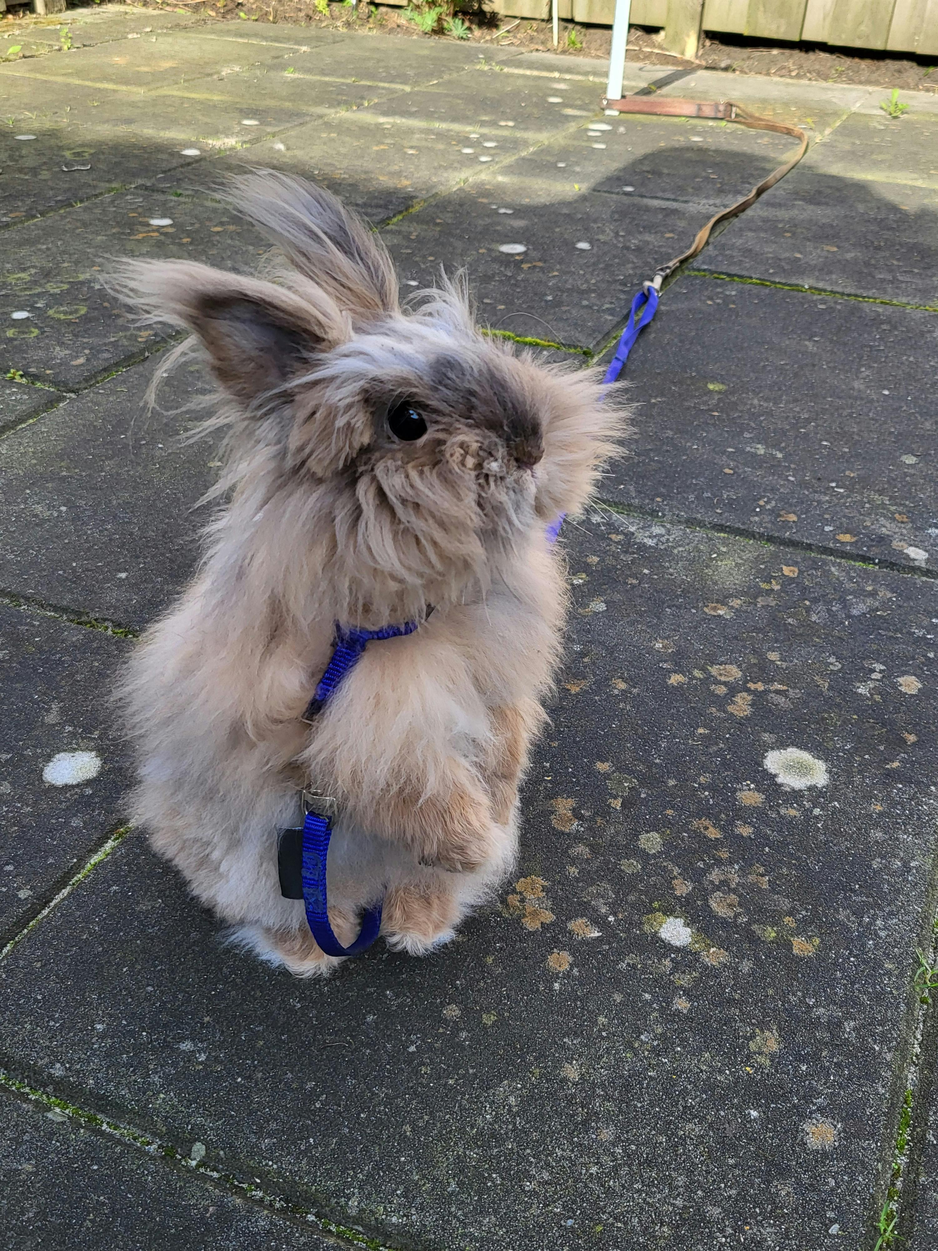 user avatar image for Samantha Ottevanger