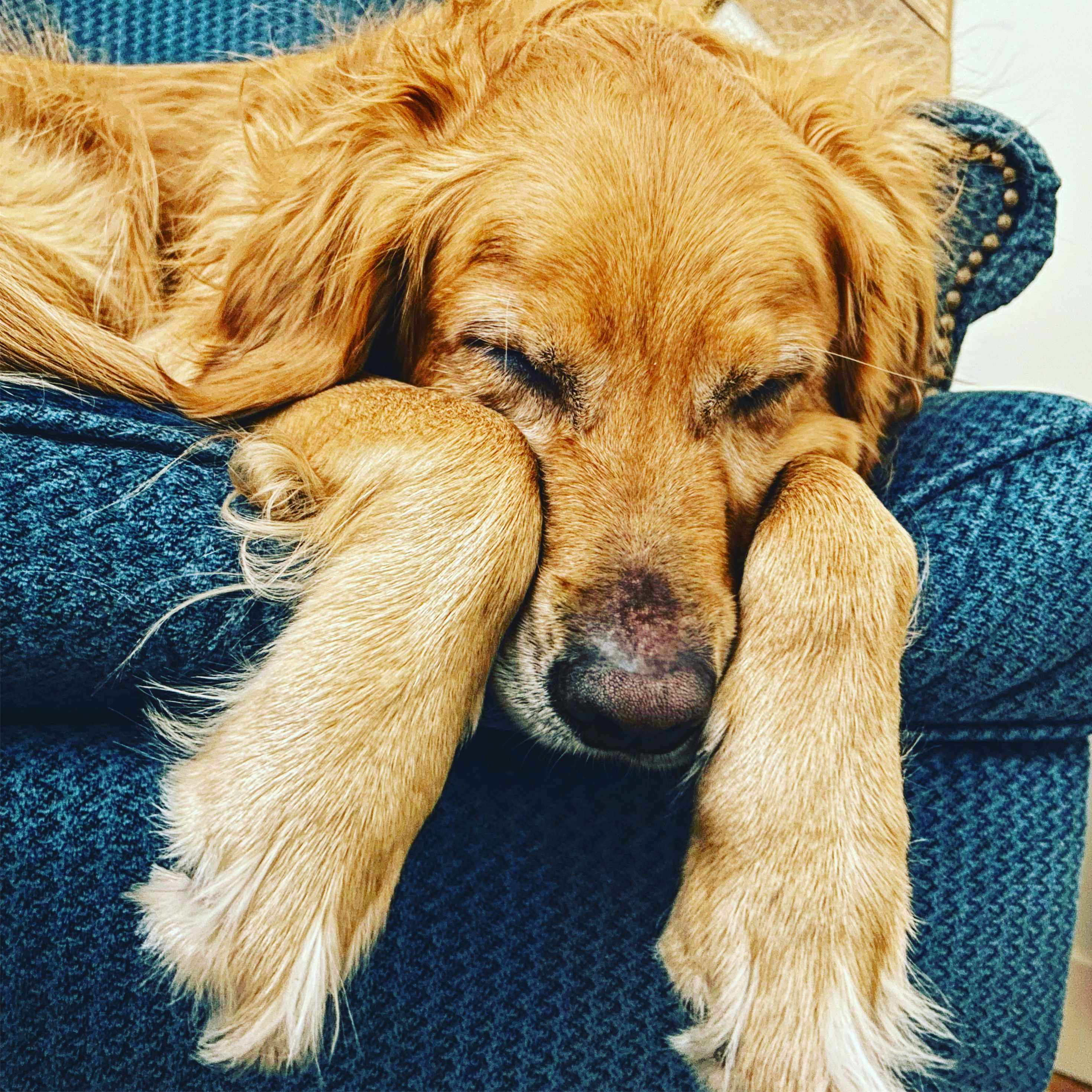 user avatar image for Colton Albertson