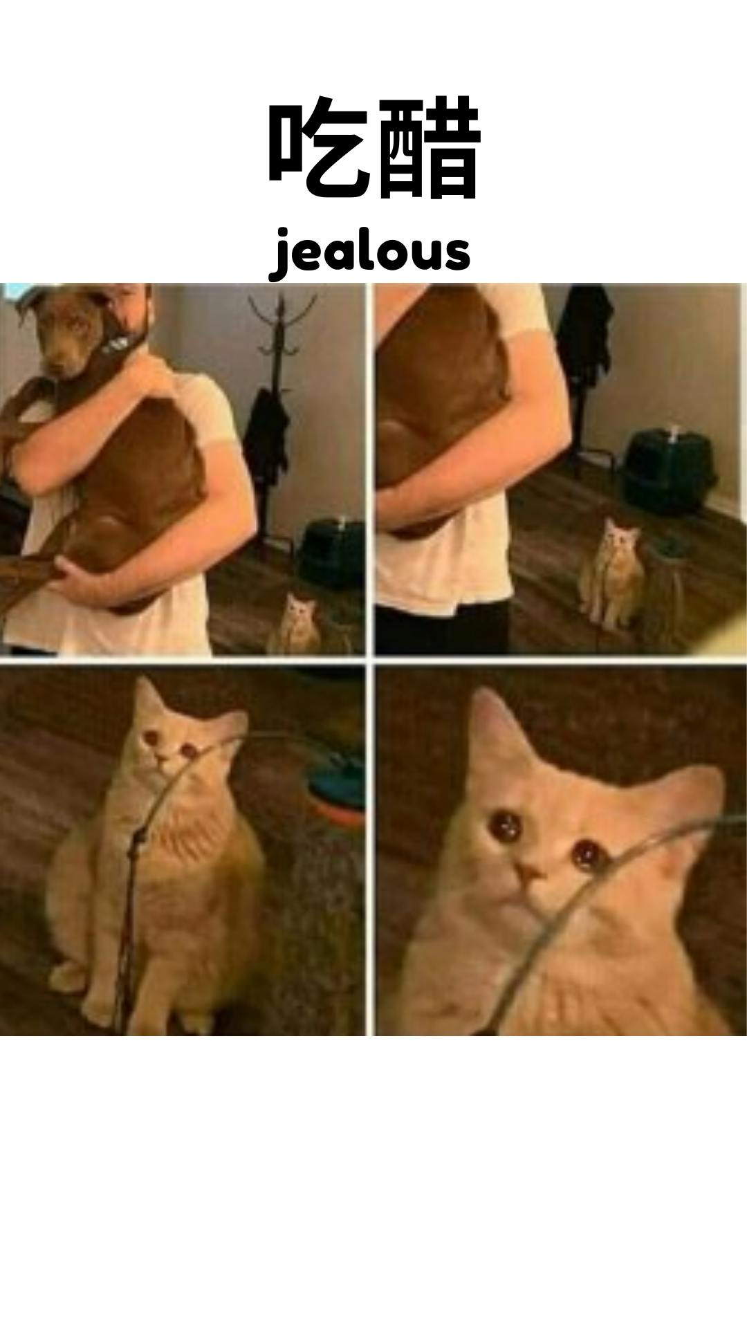 user avatar image for travispanzerjora745