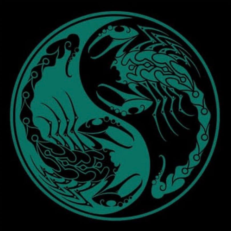 user avatar image for Shannon Fitzpatrick