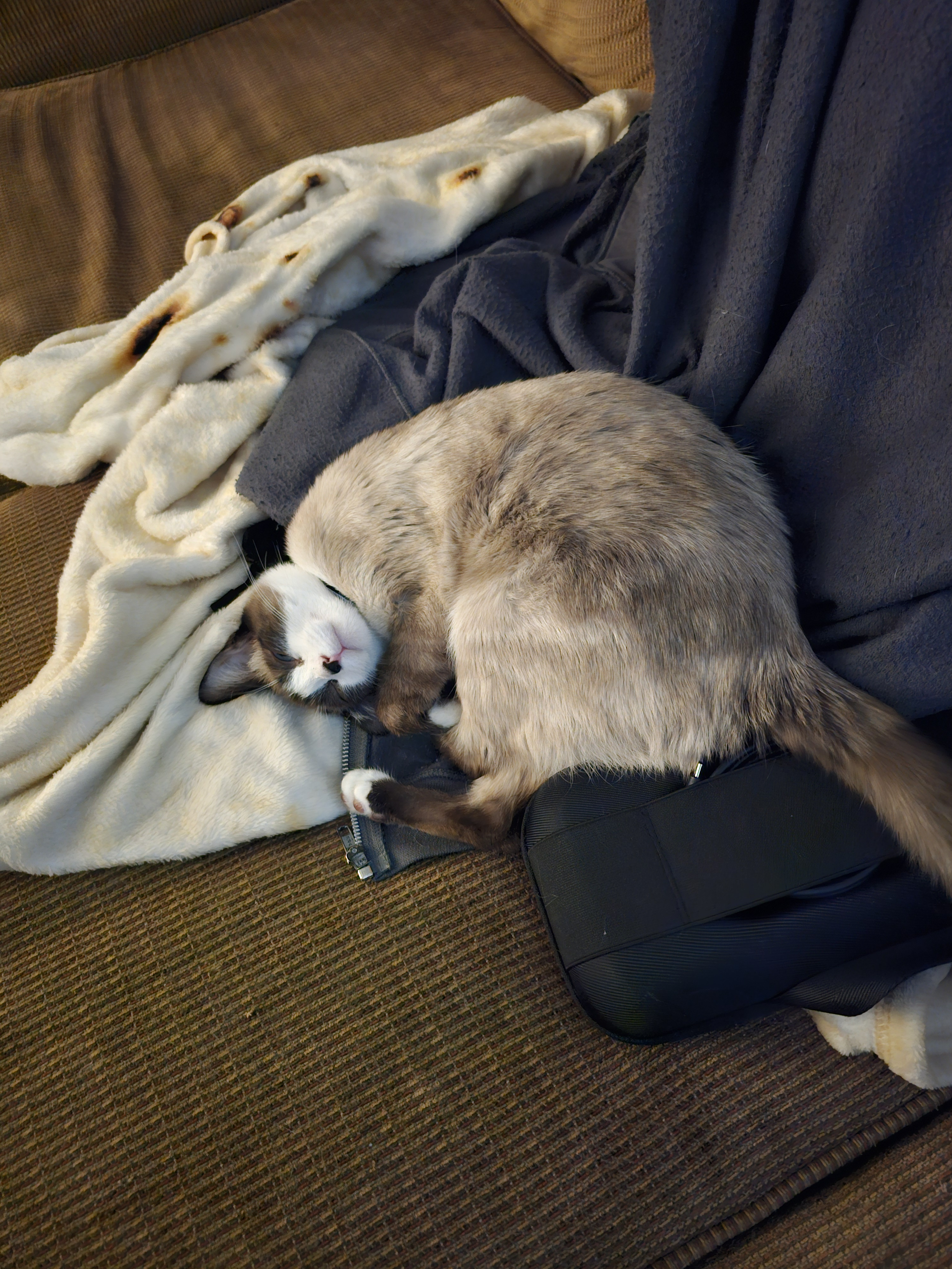 user avatar image for Jordan Christensen