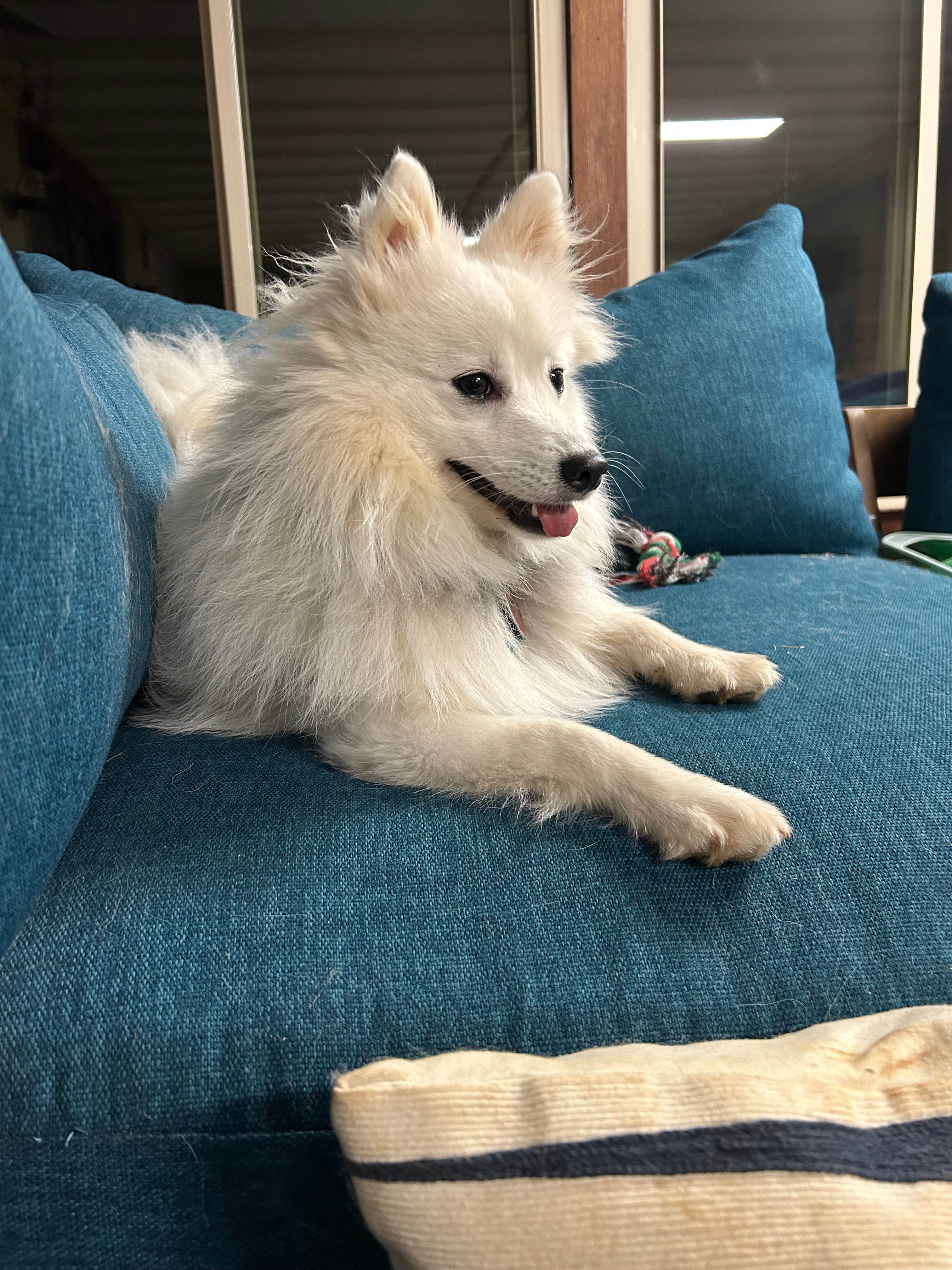 user avatar image for KatV