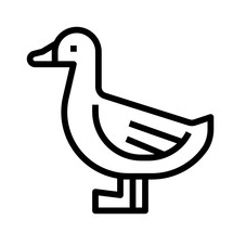 user avatar image for Alexander Gies