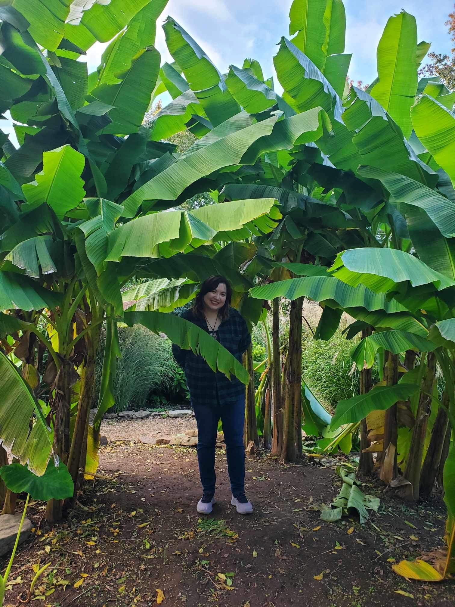 user avatar image for Ana Lewis