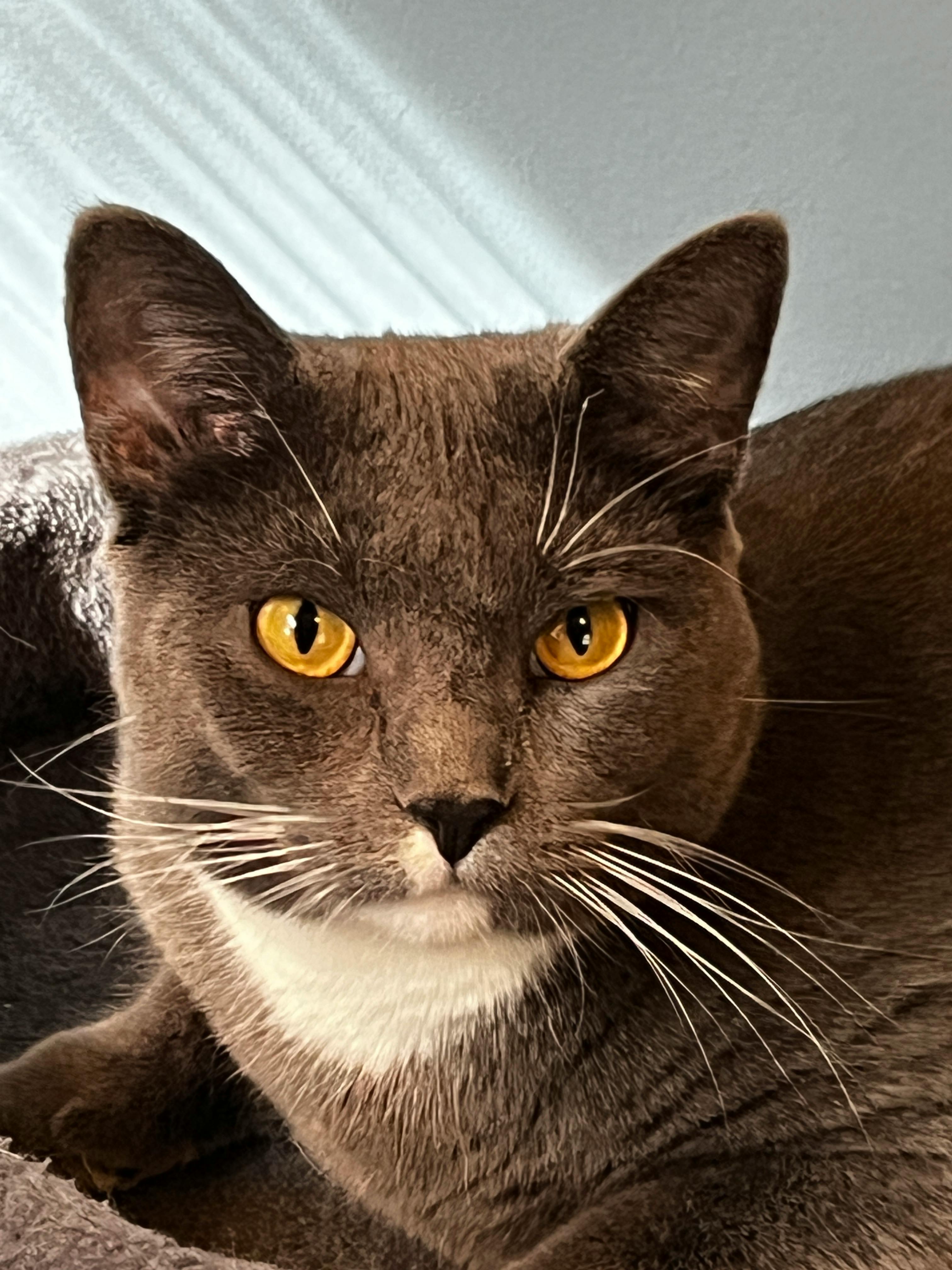 user avatar image for Rebecca Fisher