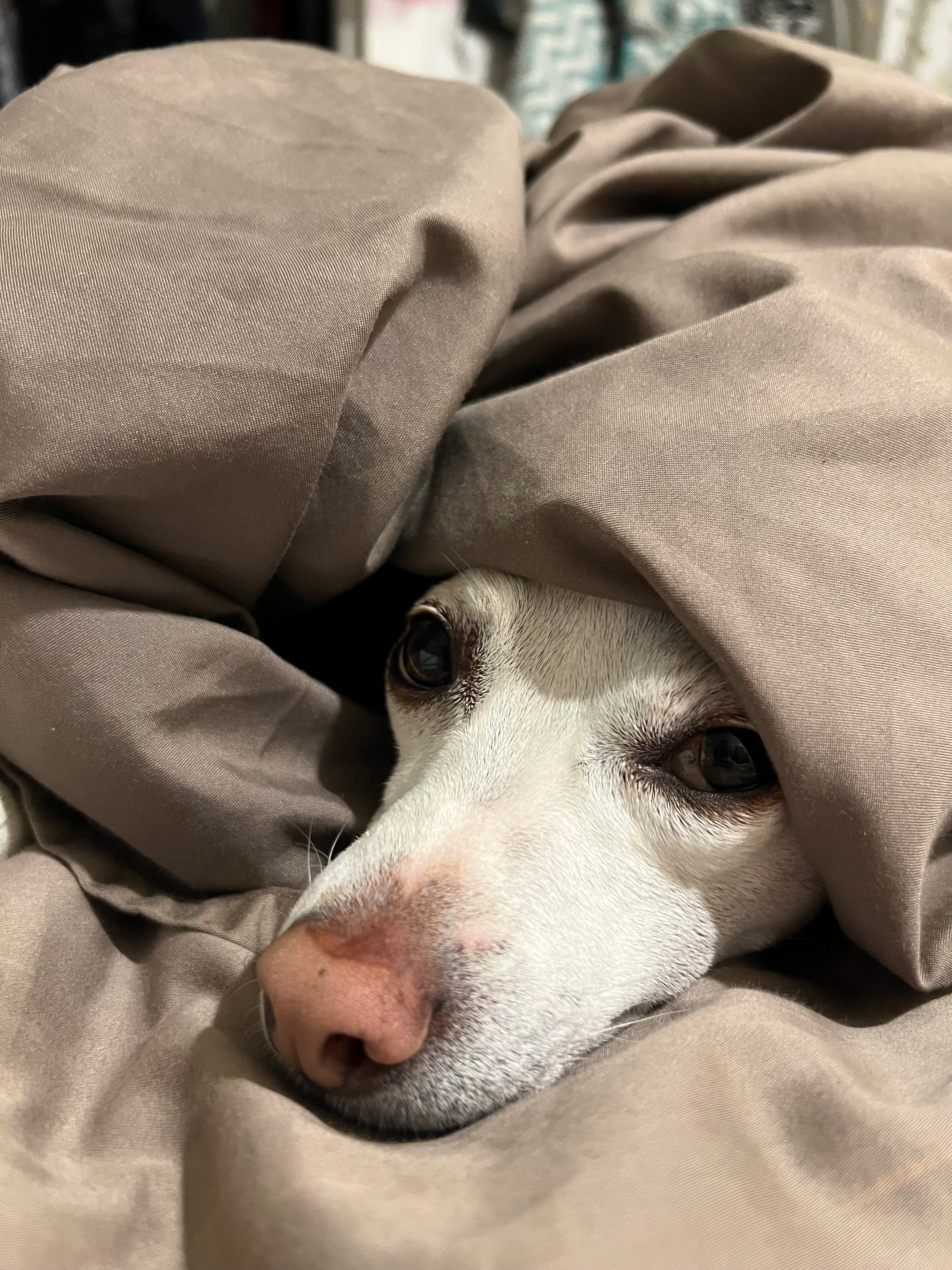 user avatar image for Chalise