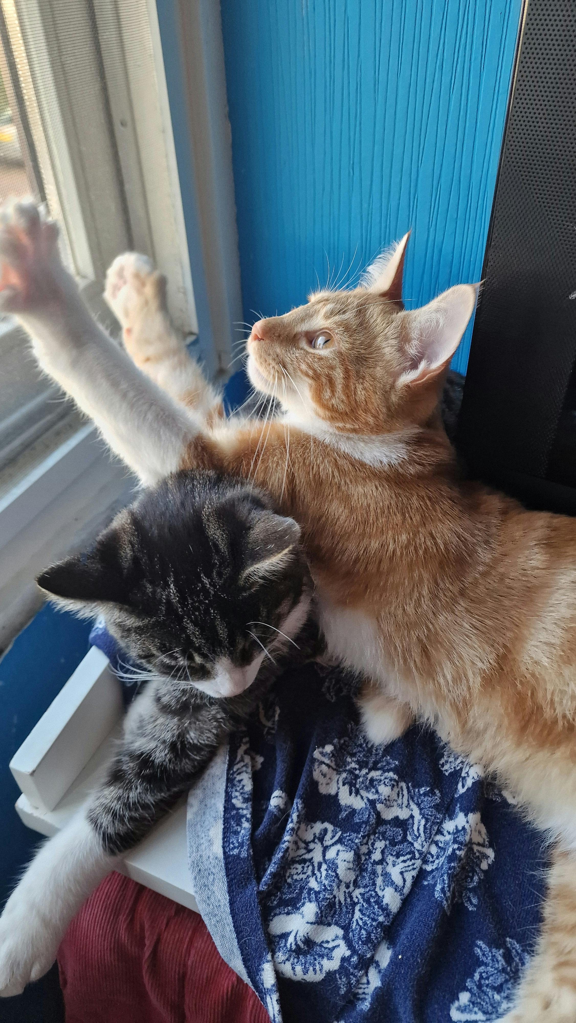 user avatar image for BrendaPutman