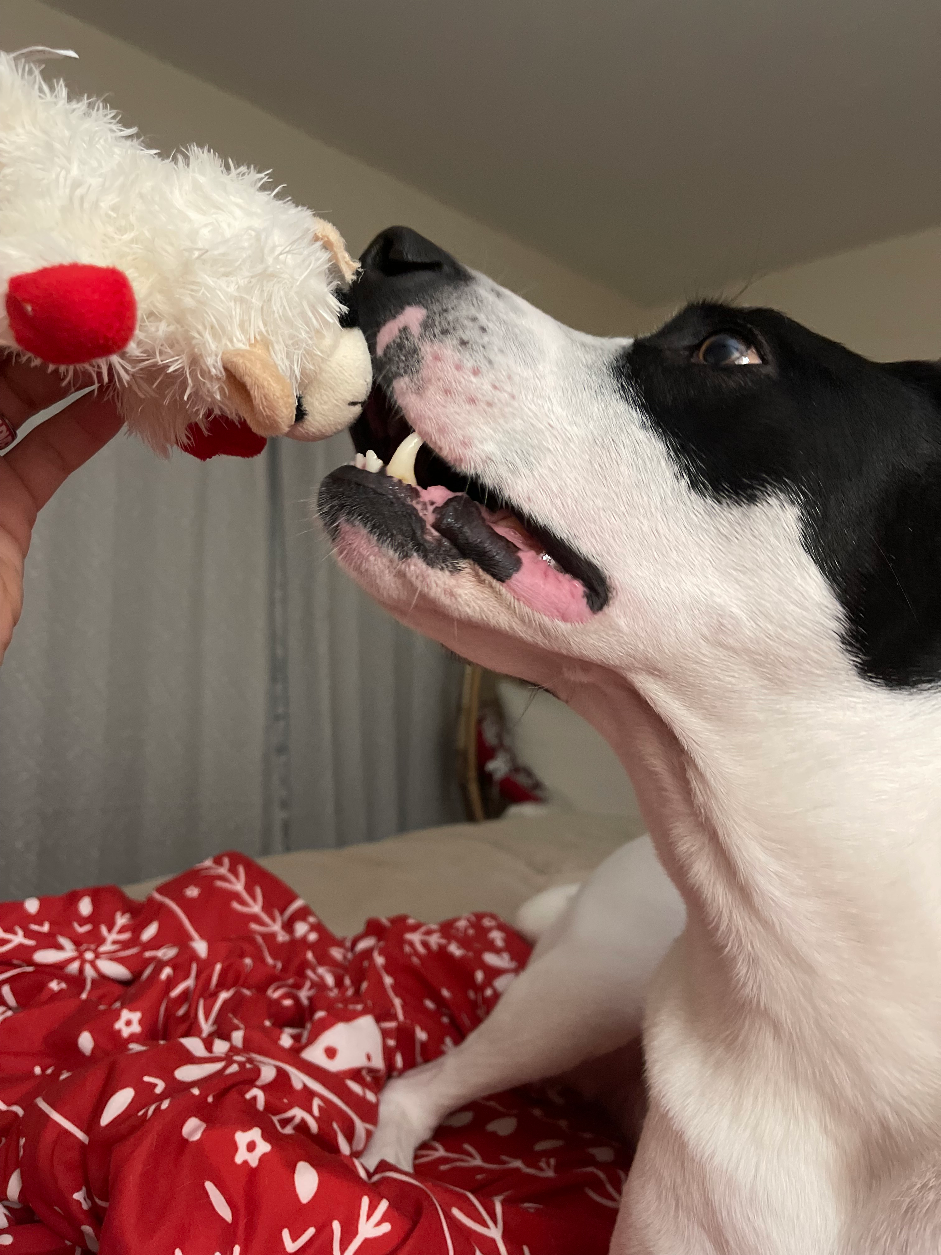 user avatar image for Joseph Simmering