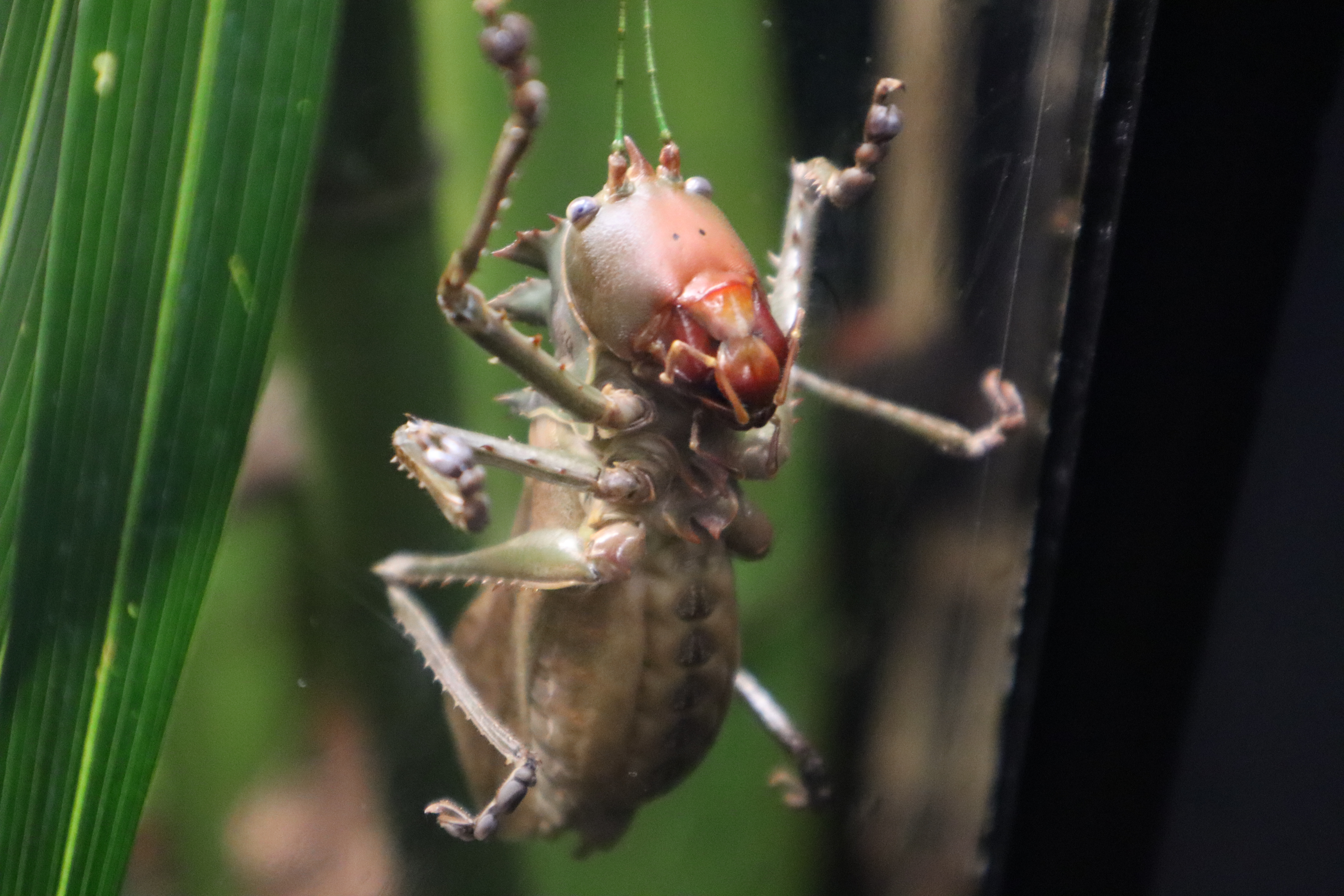 user avatar image for Jamey Moore