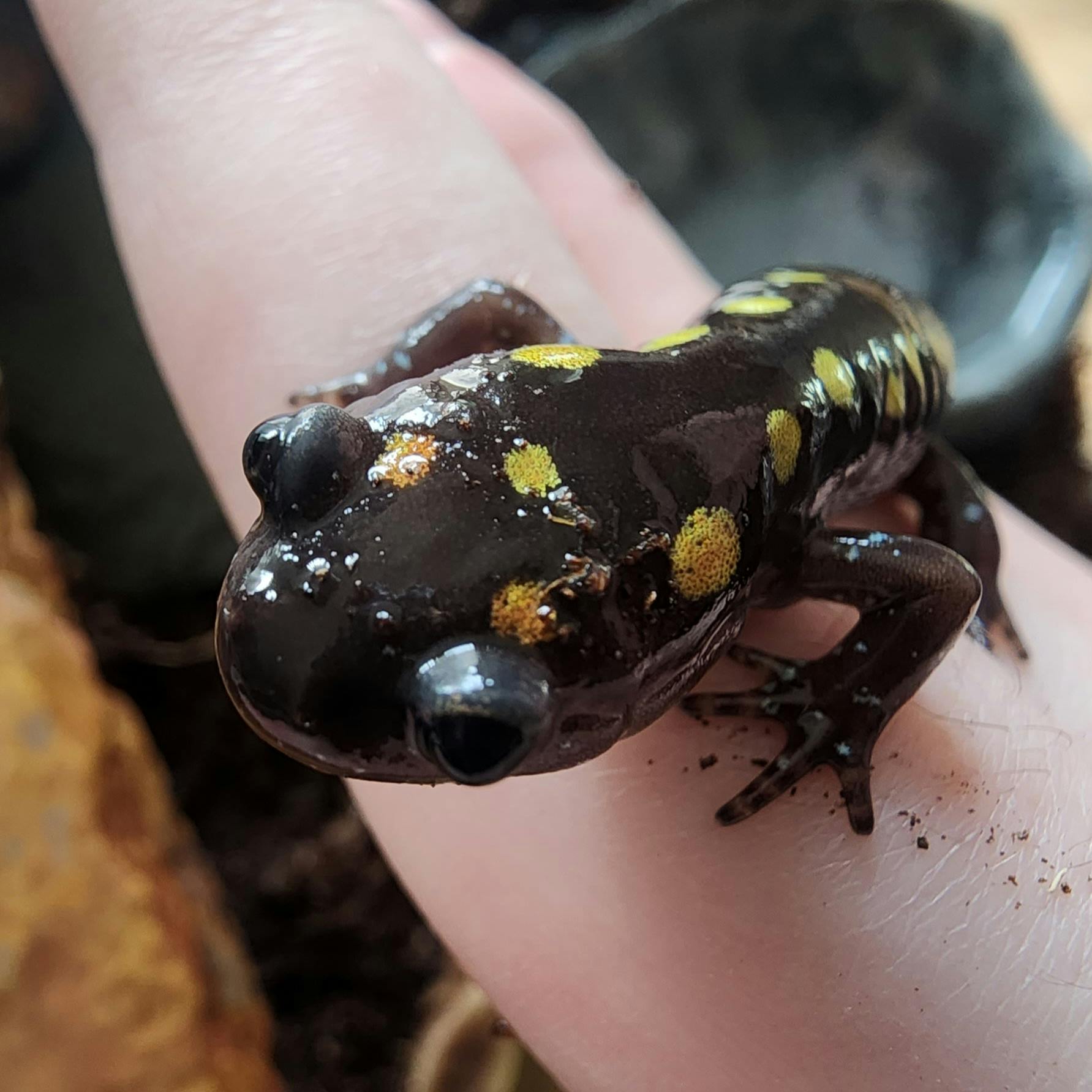 user avatar image for Teddy