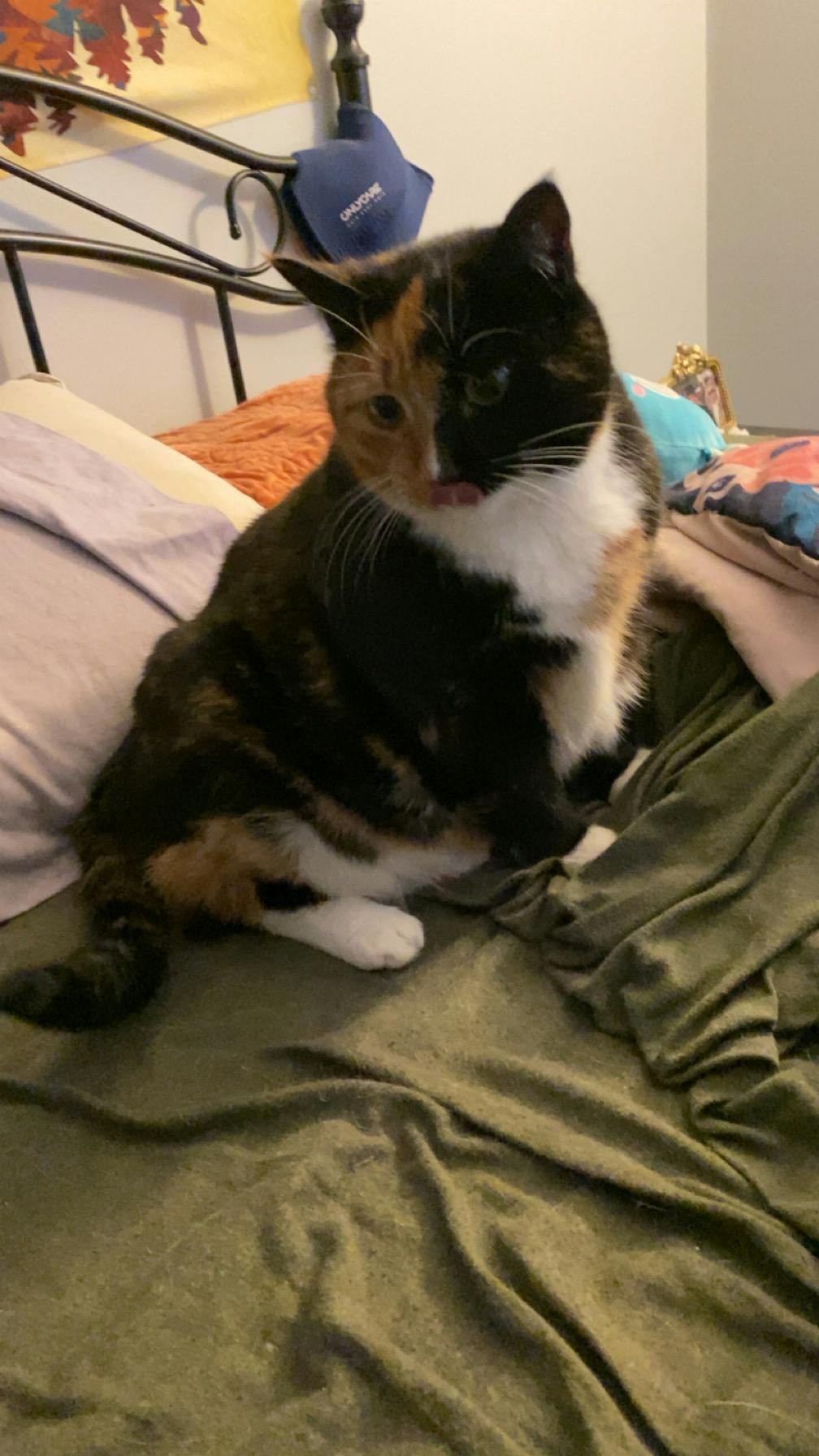 user avatar image for RadiantDawn521