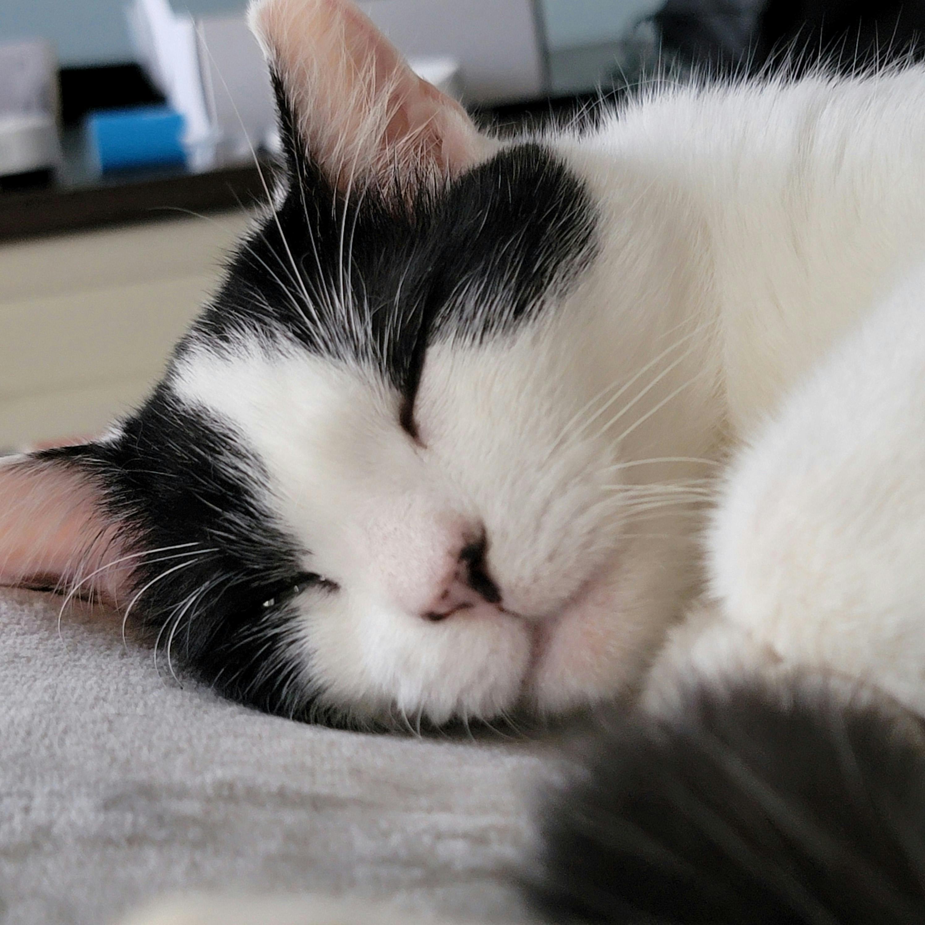 user avatar image for Ky