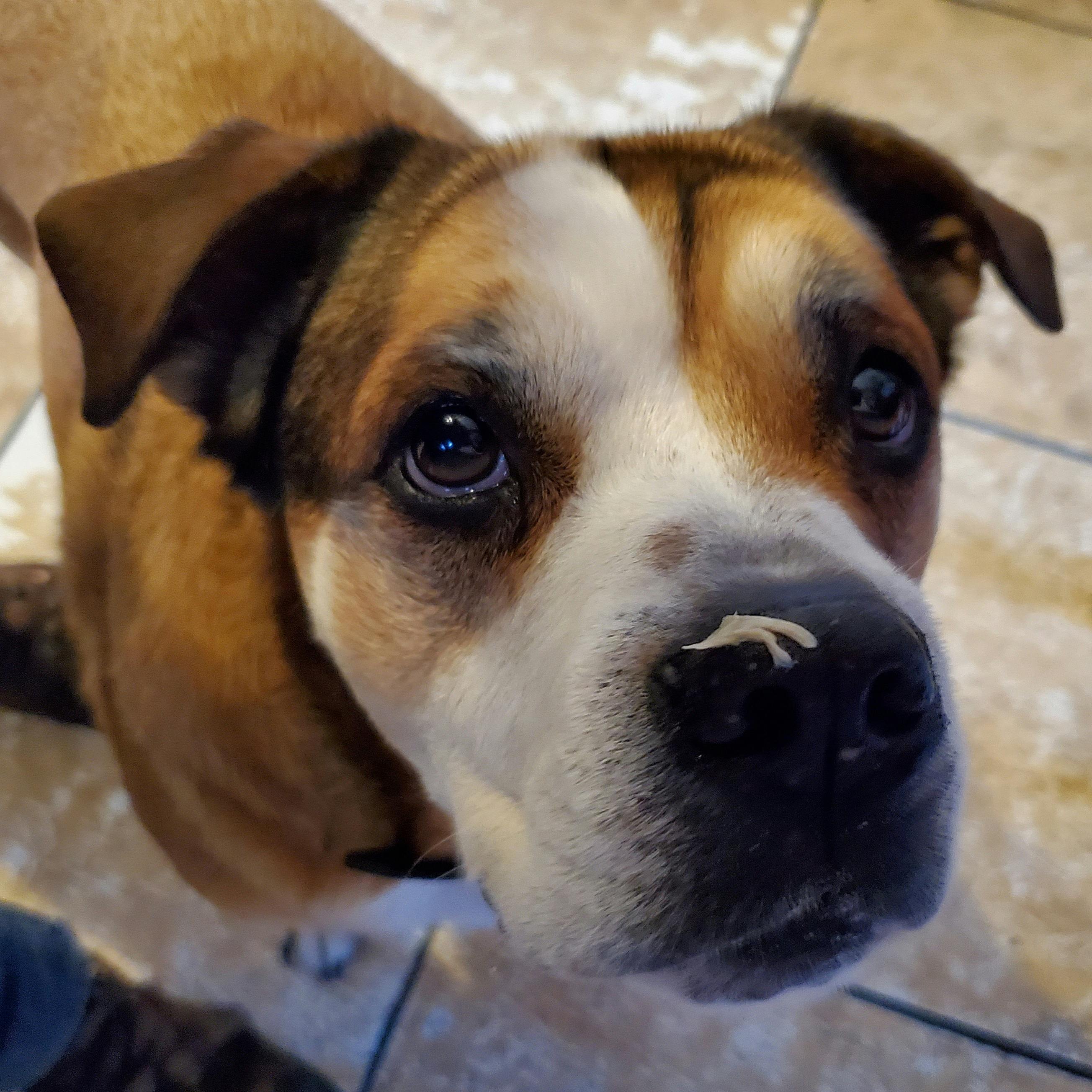 user avatar image for Joseph Stone Studio