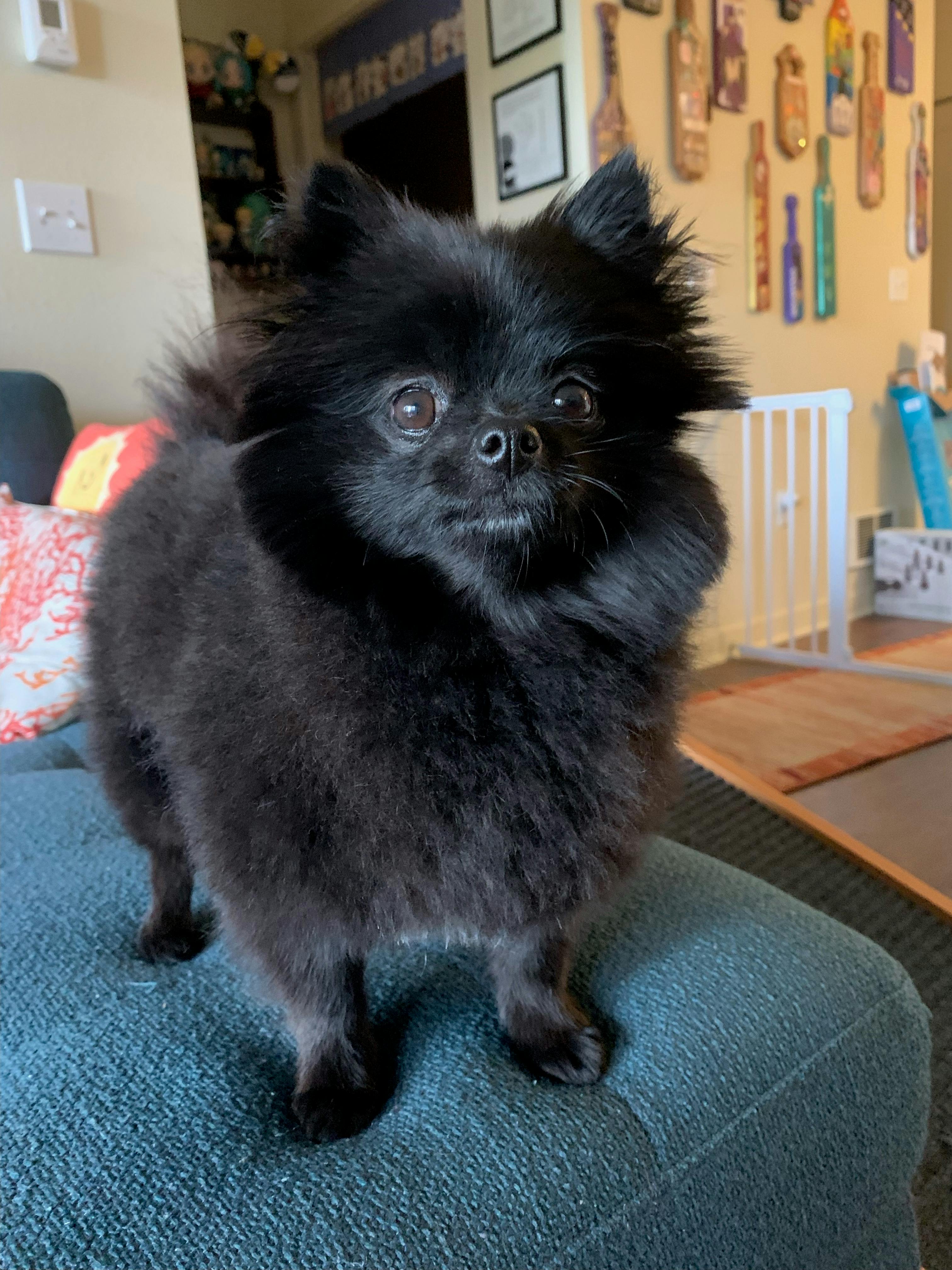 user avatar image for Amy Flint