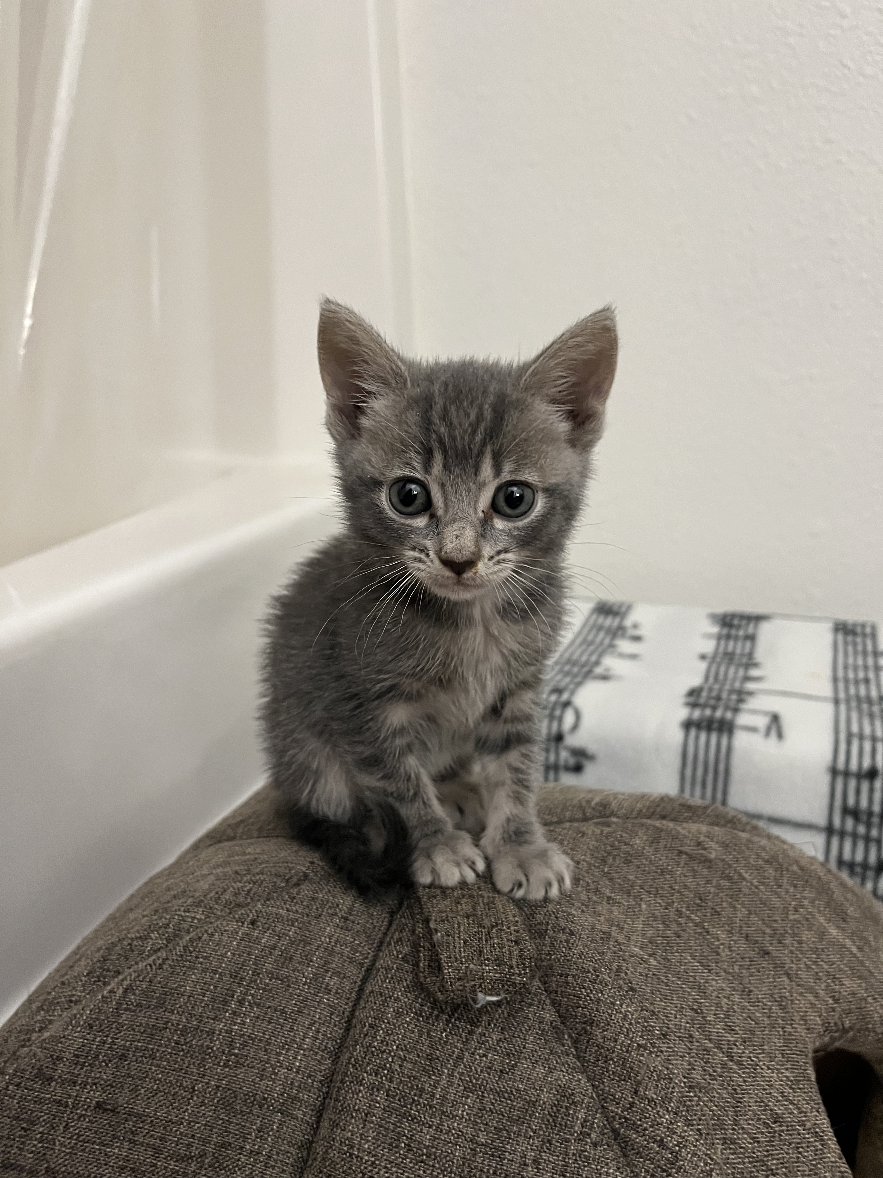 user avatar image for Thyme