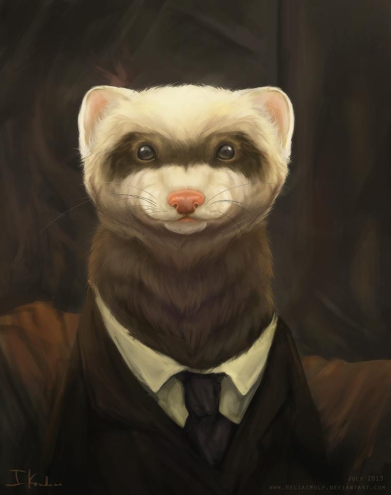 user avatar image for Matthew Jacobs