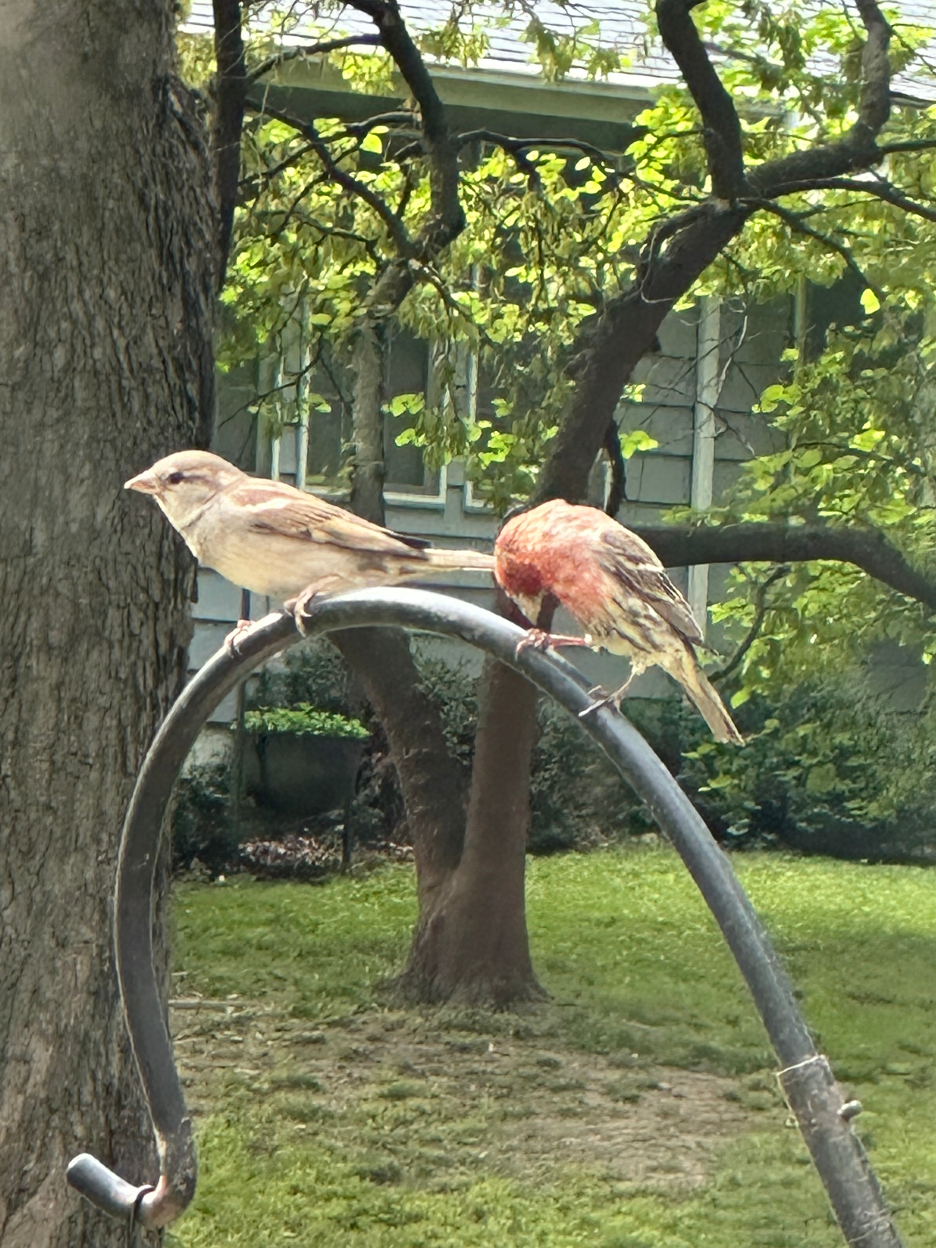 user avatar image for Cara Frye