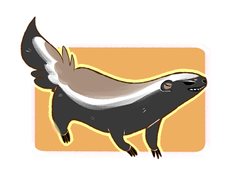 Honey Badger