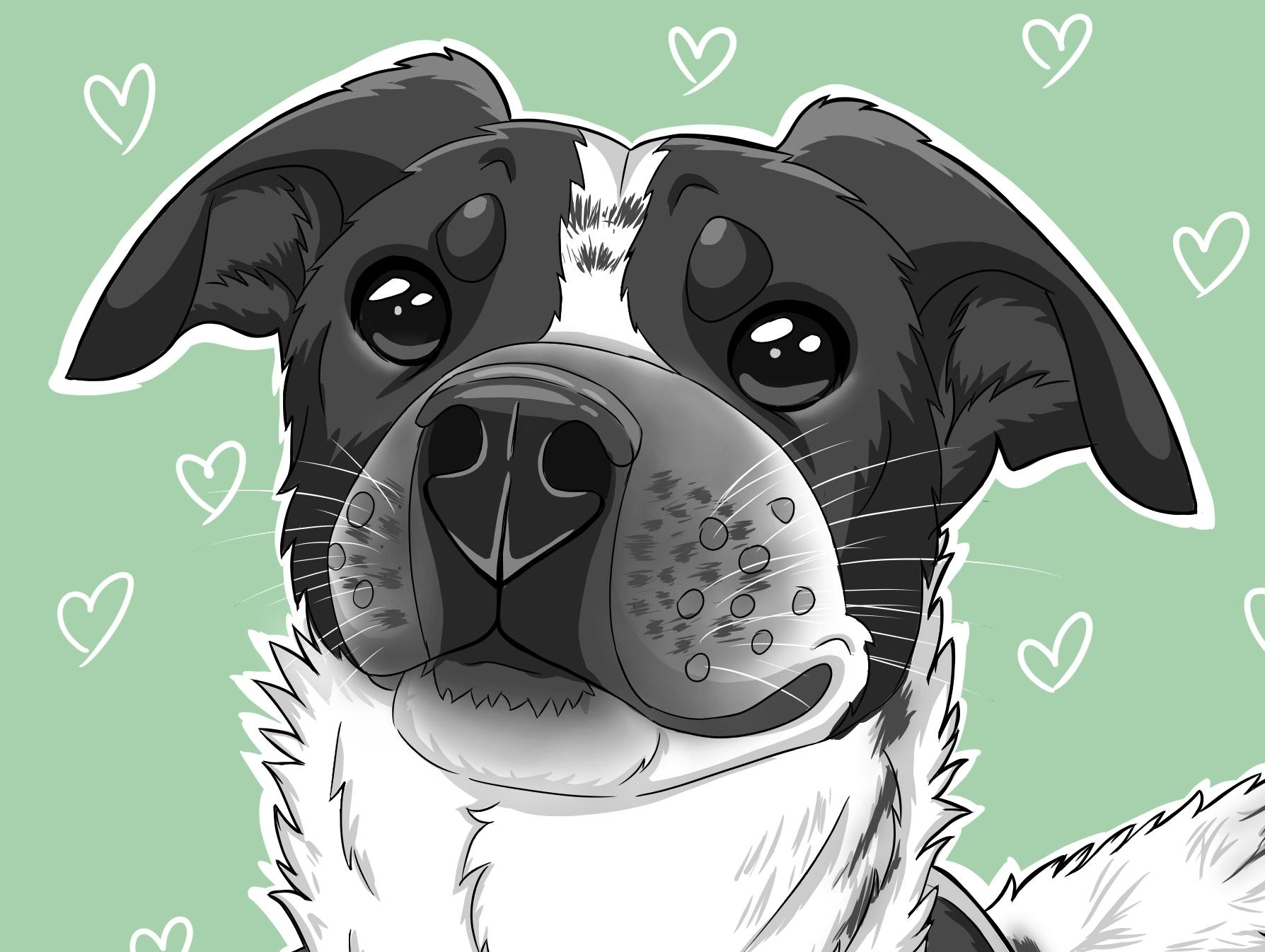 user avatar image for Rob P