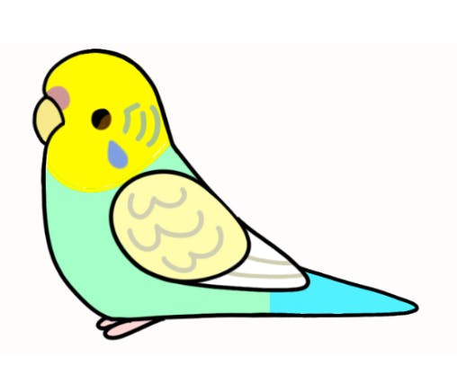 6. Rainbow budgie