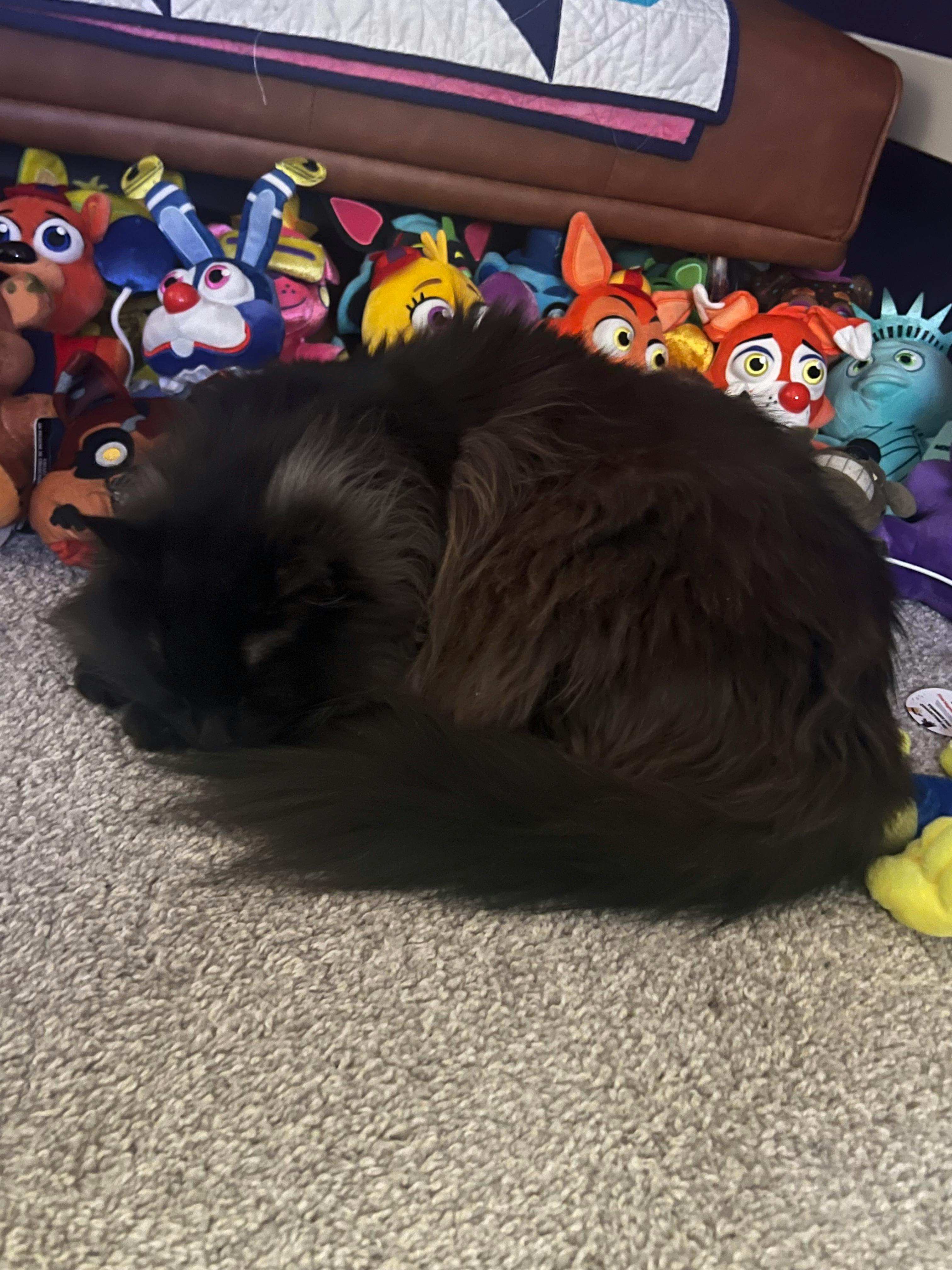 user avatar image for Magmadragon274