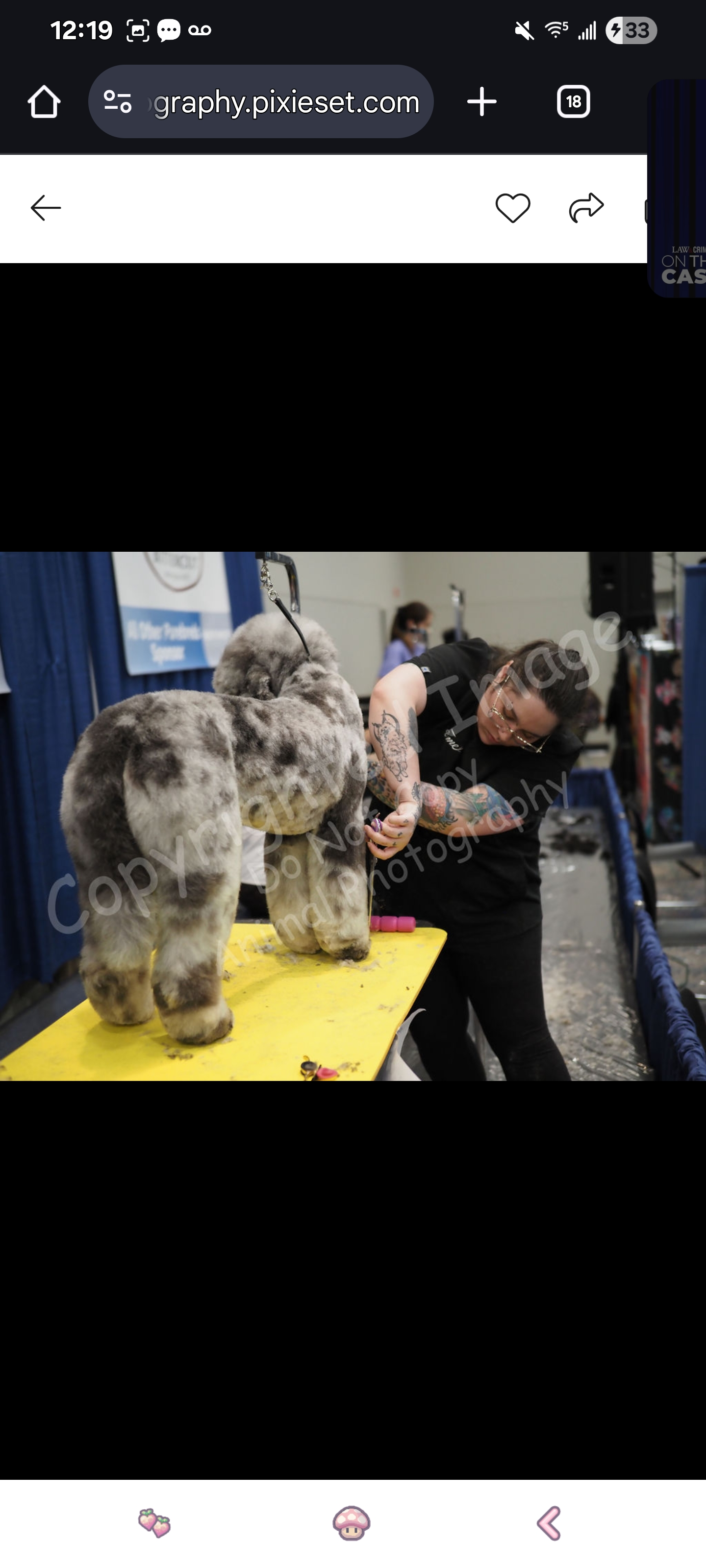 user avatar image for Kitty