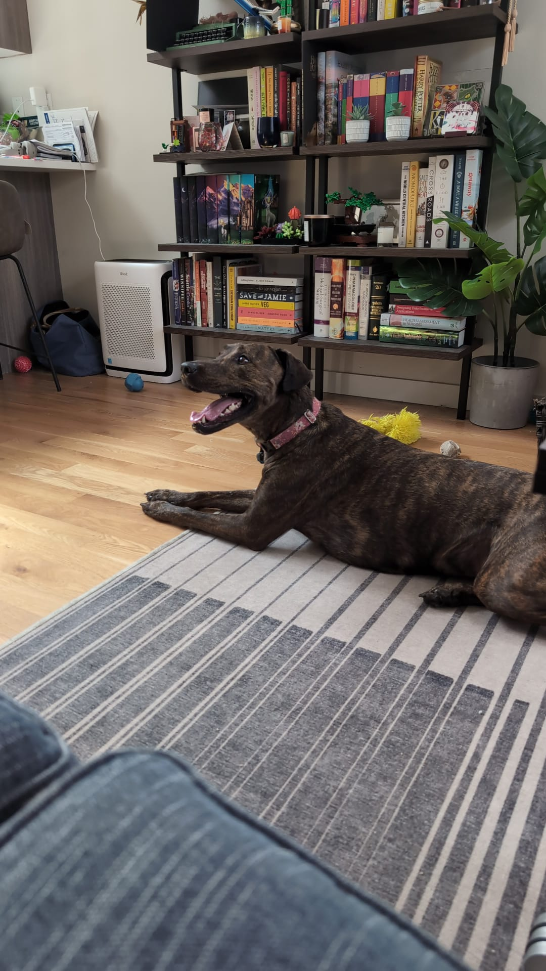 user avatar image for Jeremy