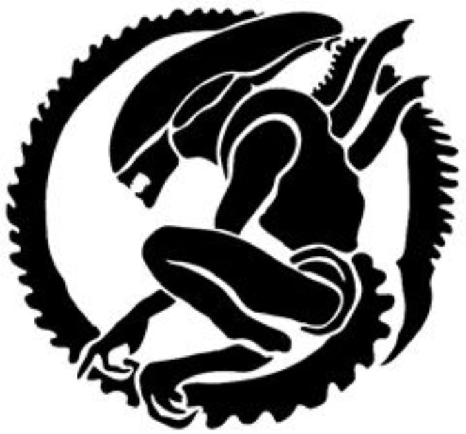 user avatar image for Terry