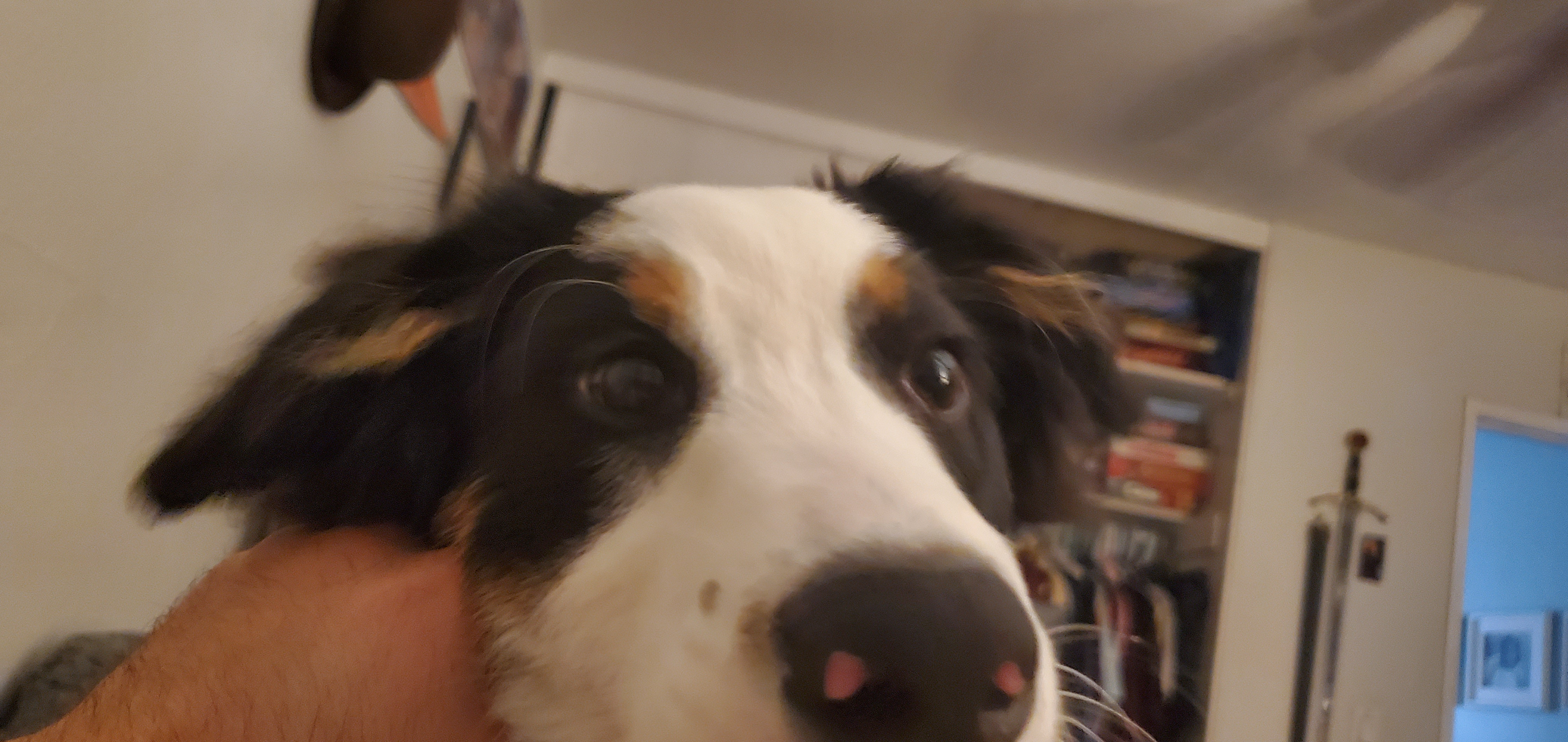 user avatar image for BC