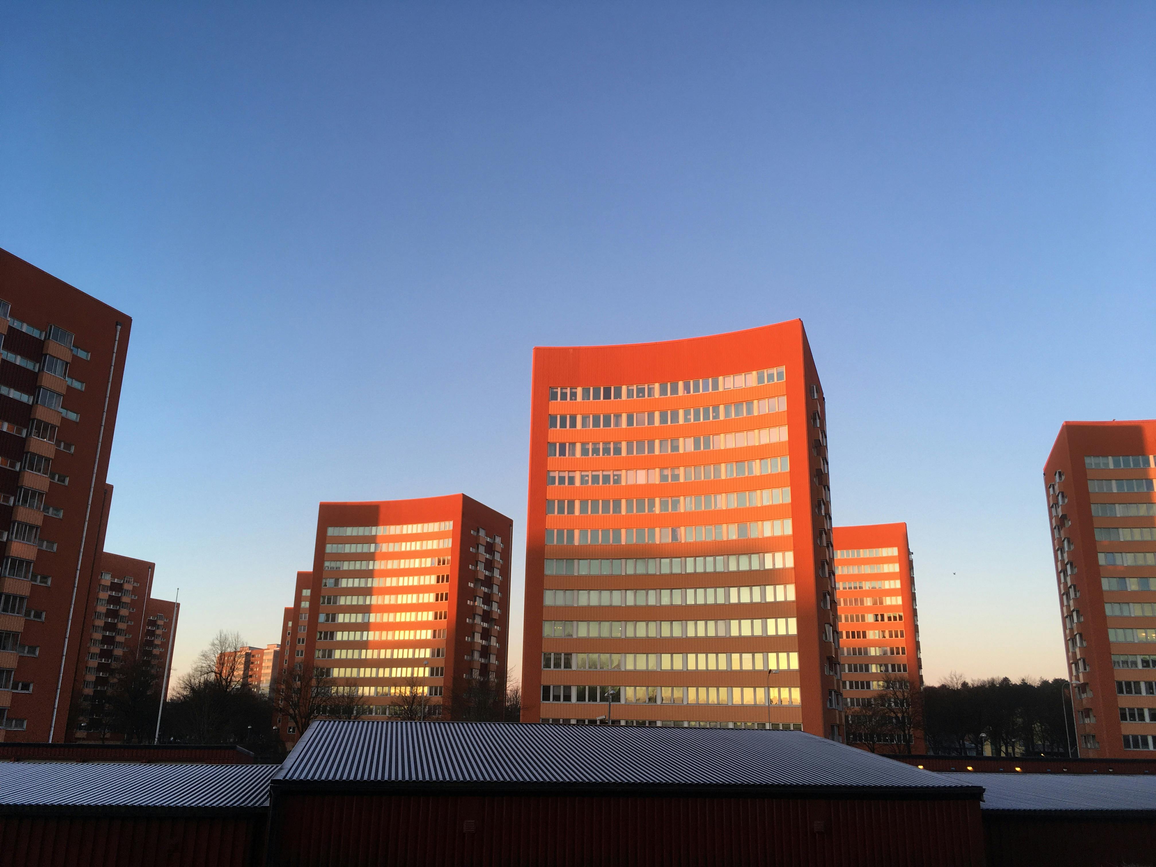 user avatar image for Gavin Sheedy