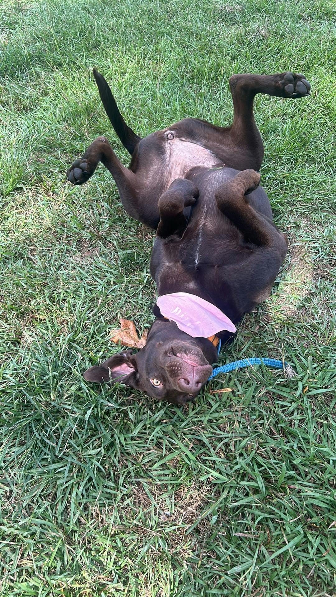 user avatar image for TheRealChocoLeia5424