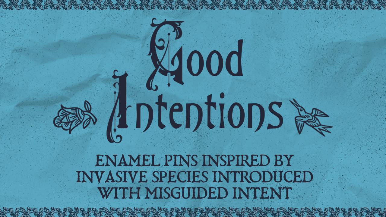 Good Intentions: An Enamel Pin Collection