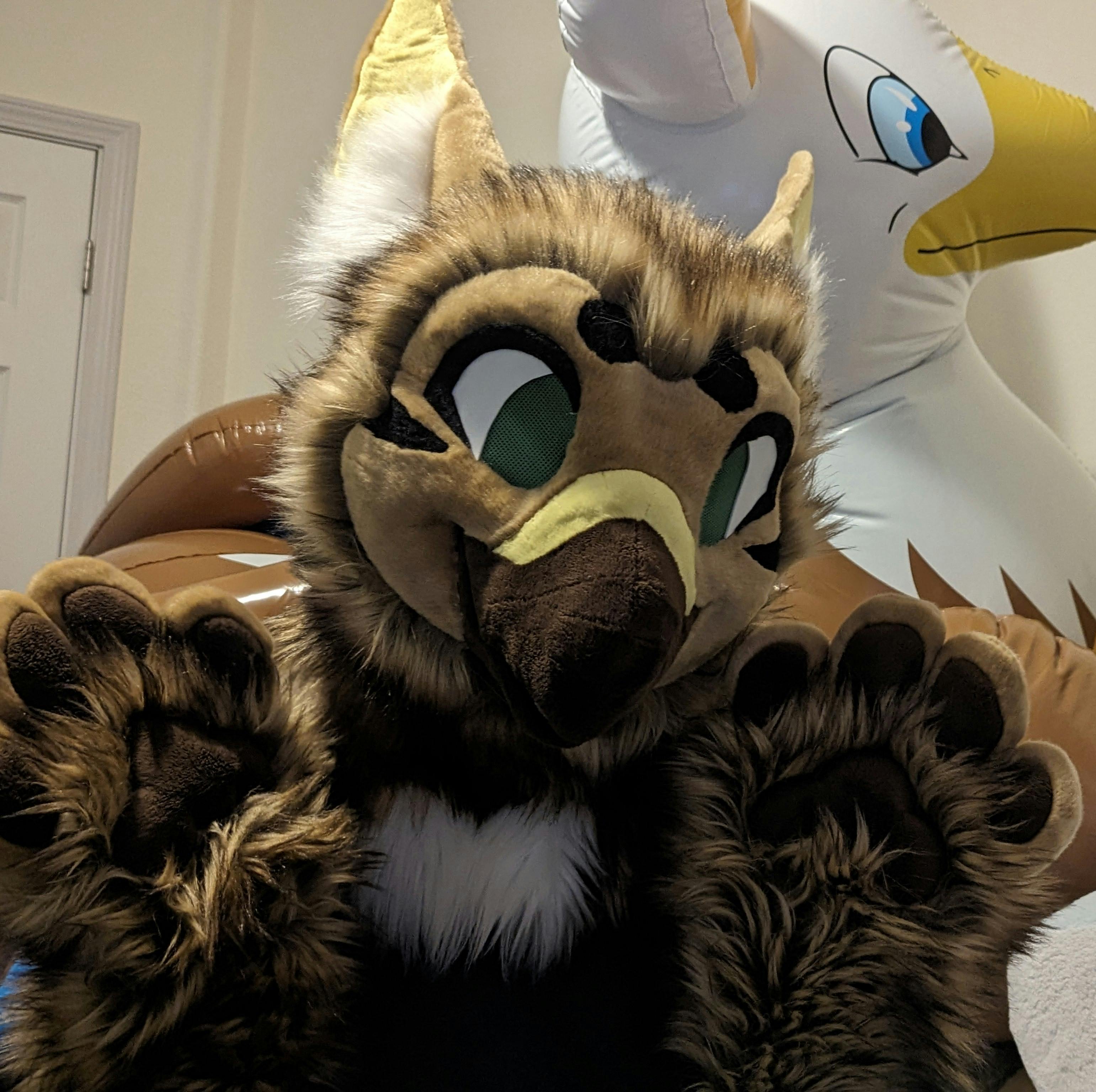 user avatar image for Cheski Gryphon 