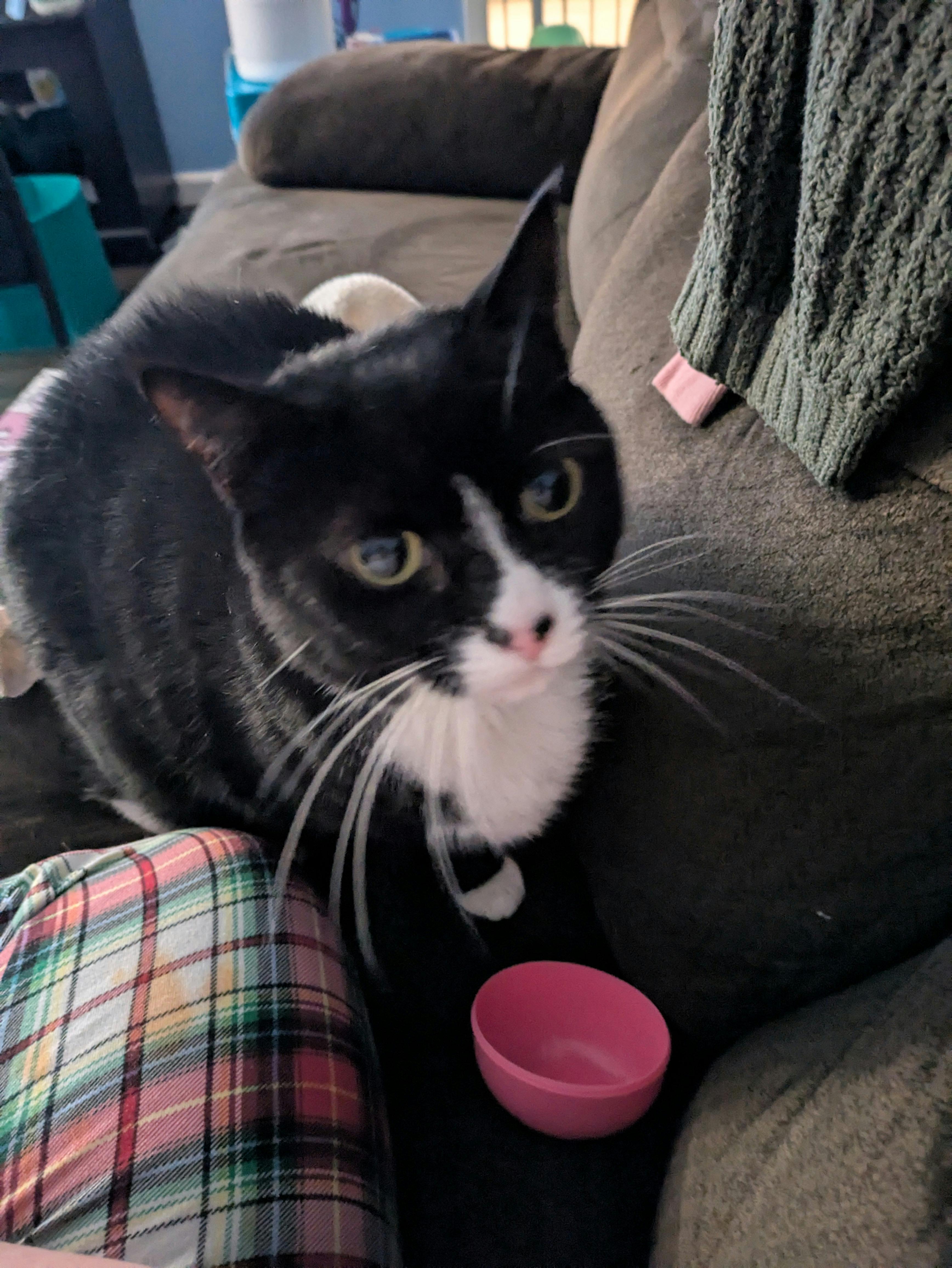 user avatar image for kate