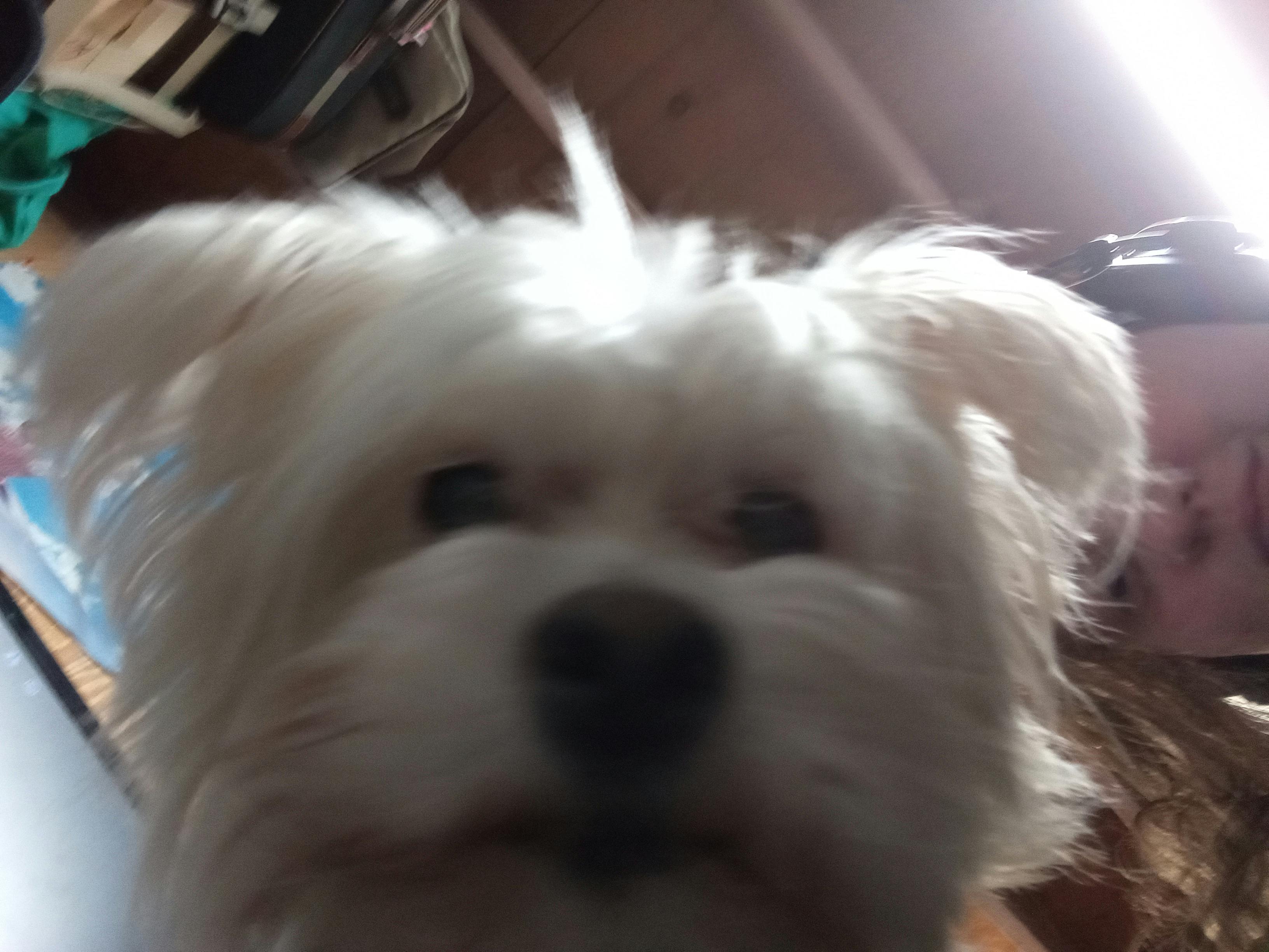 user avatar image for Irene