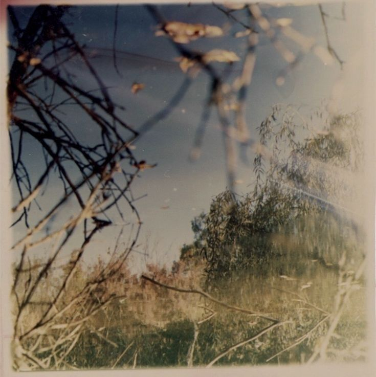 user avatar image for dialtone