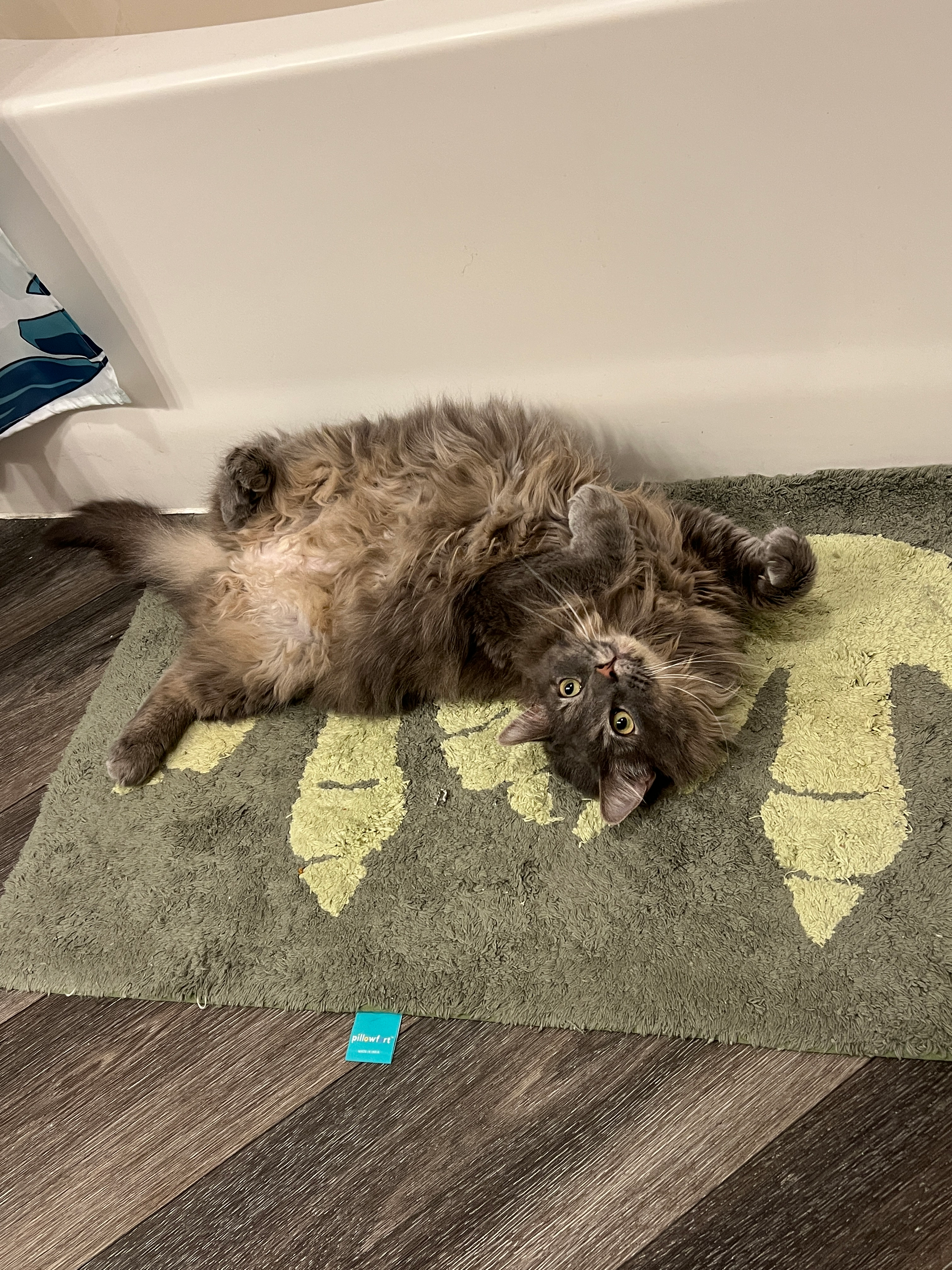 user avatar image for Reilly