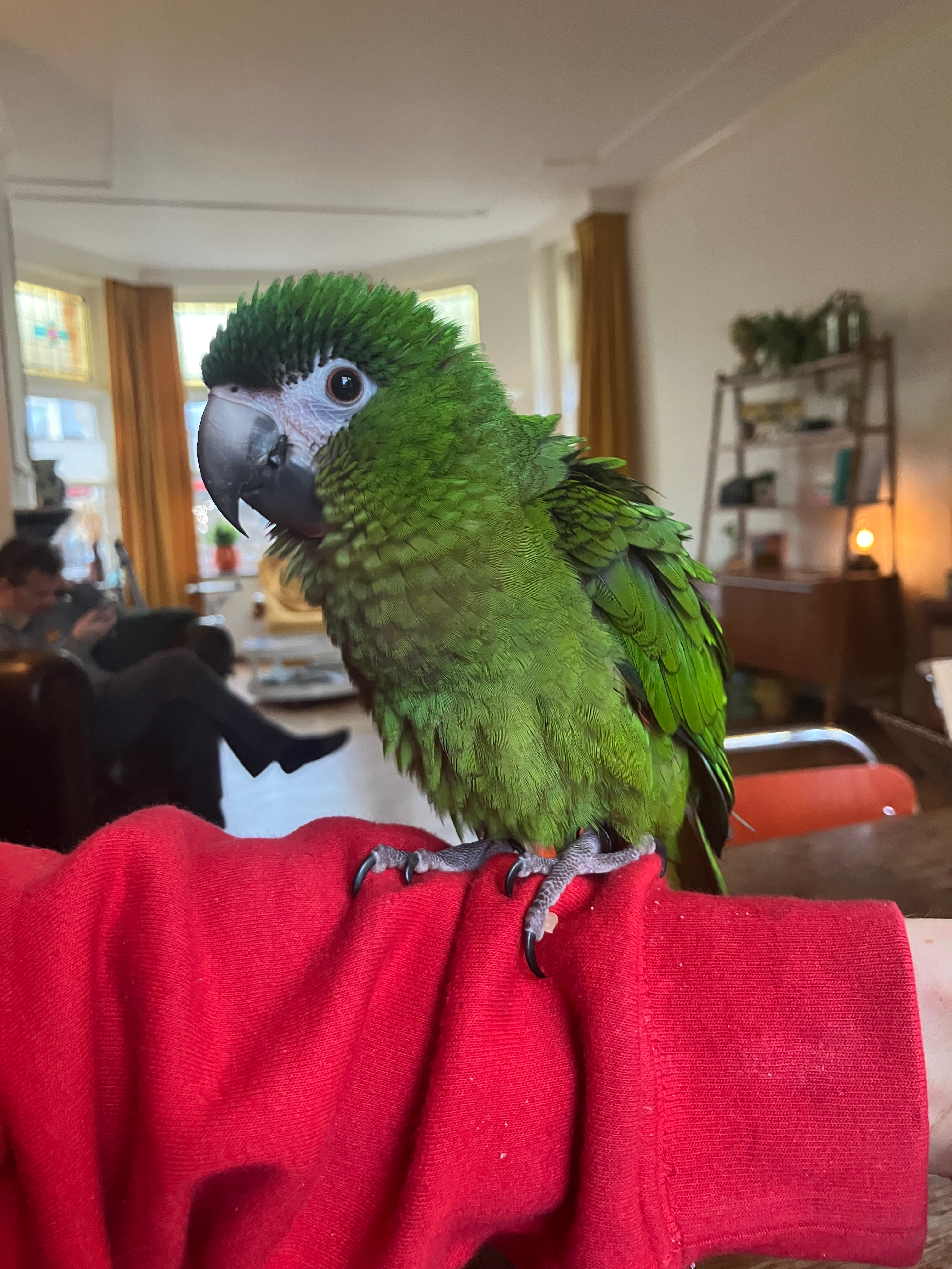 user avatar image for Benthe smaal 