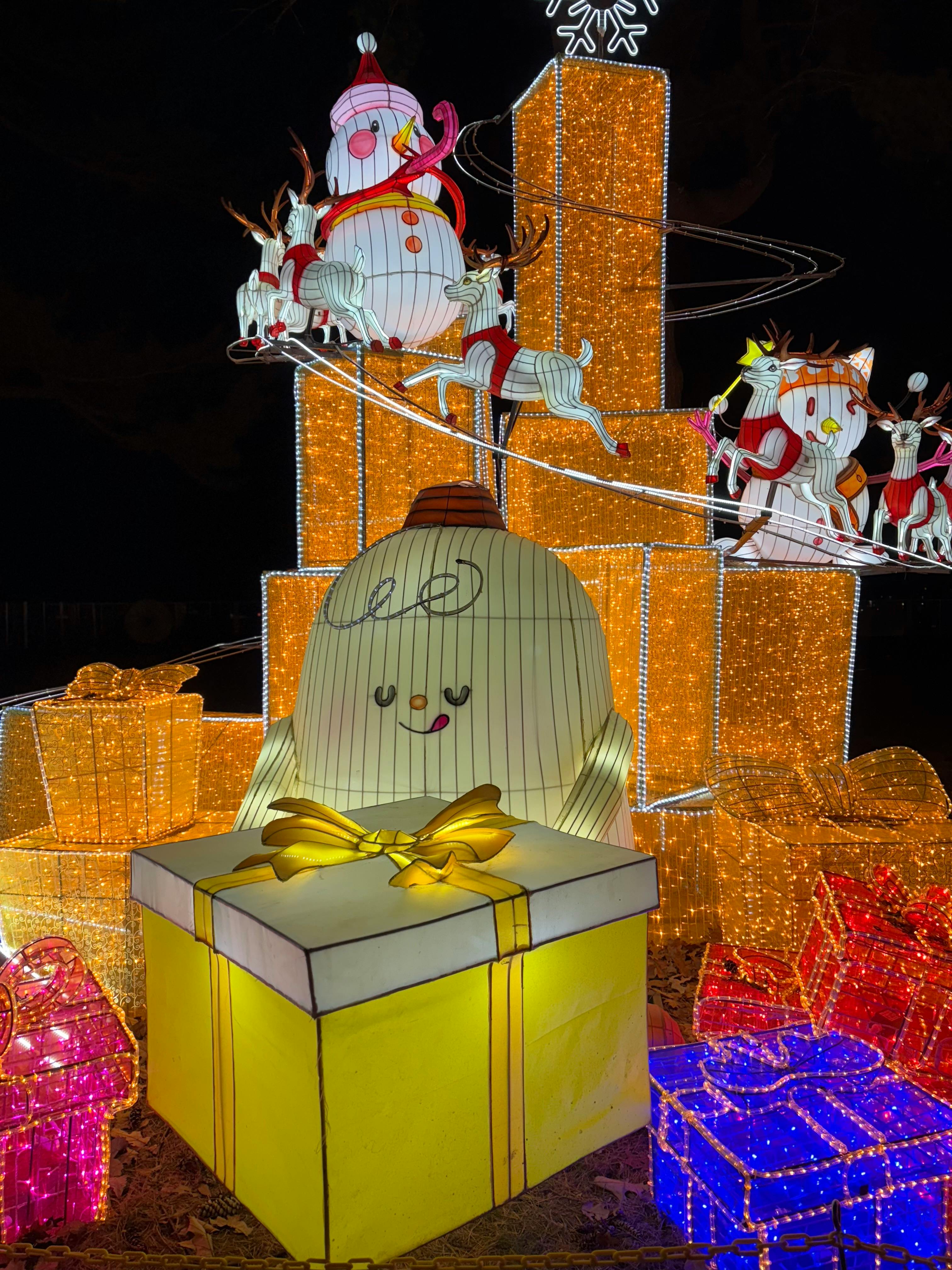 user avatar image for Daniela Clavel