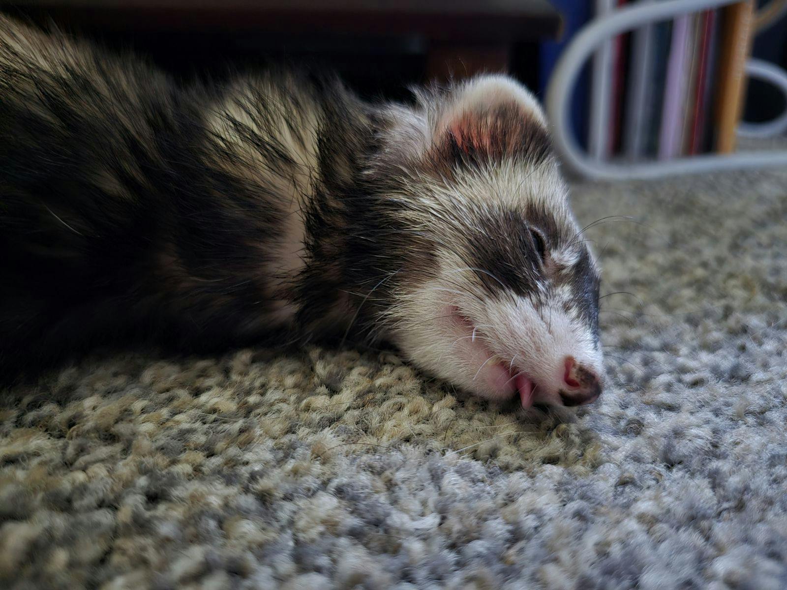 user avatar image for TheArchive