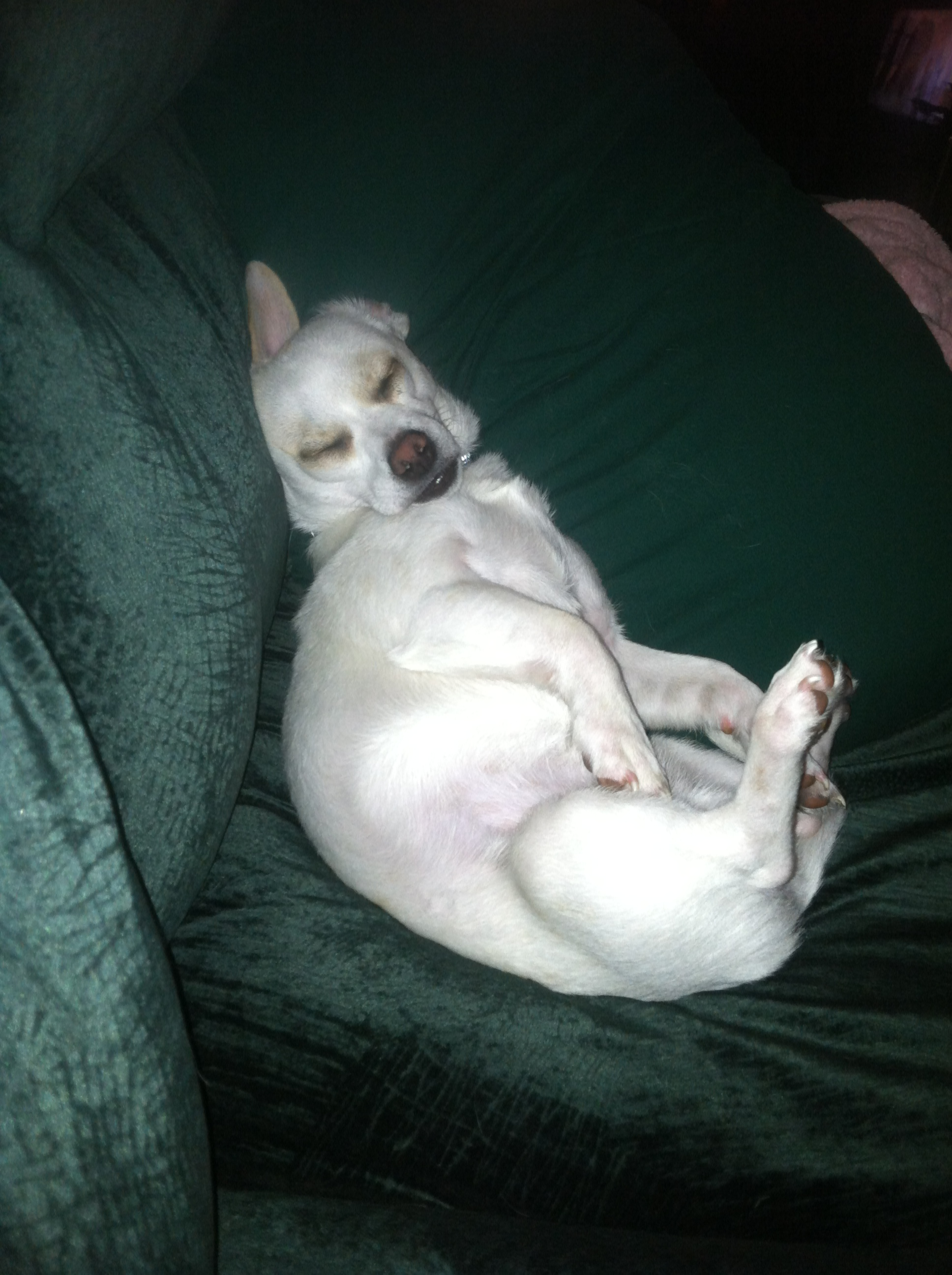 user avatar image for Darvax