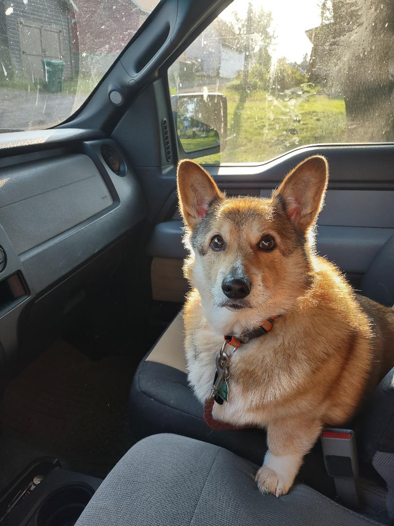 user avatar image for Dean