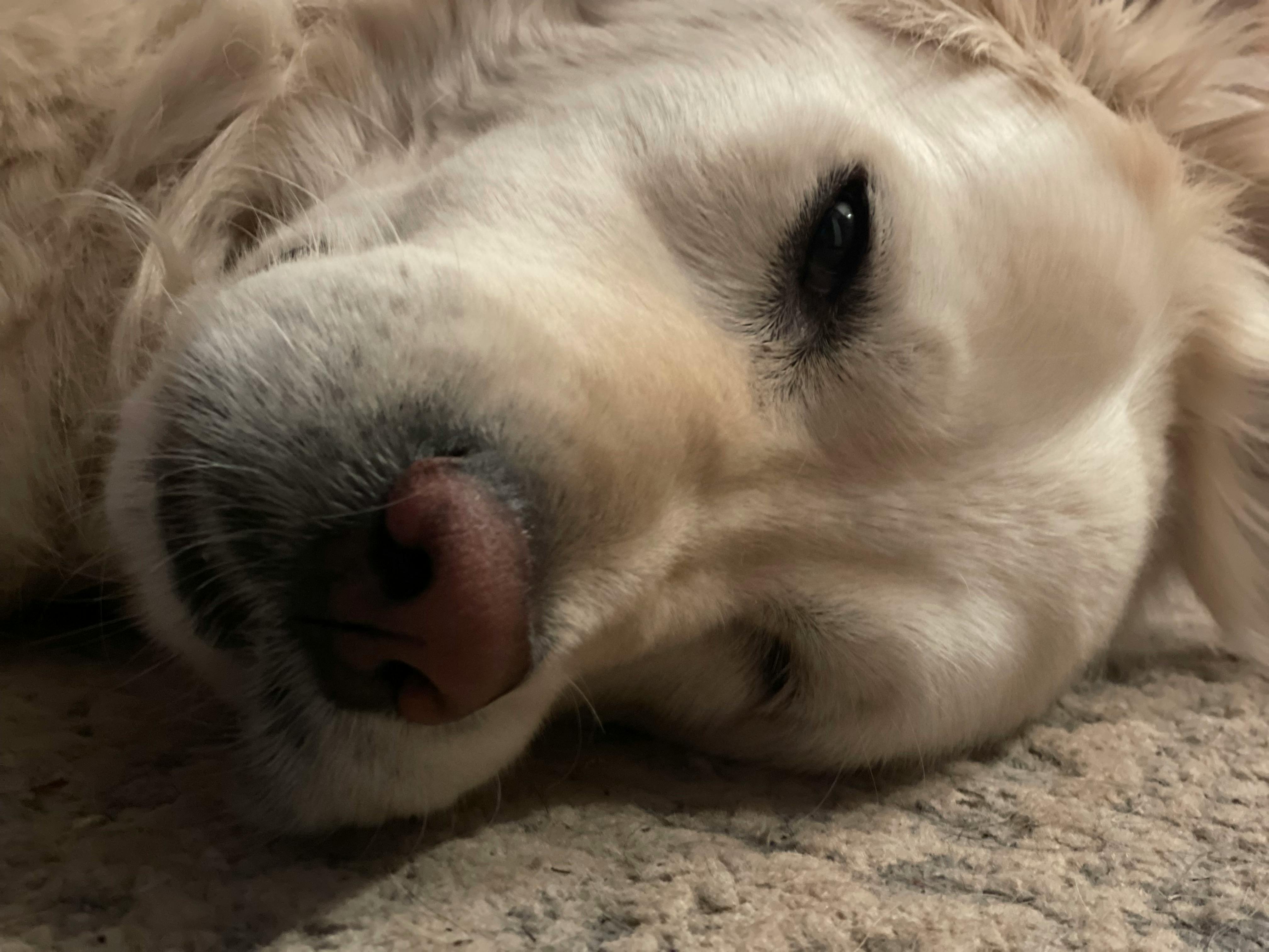 user avatar image for Donald Ludwig