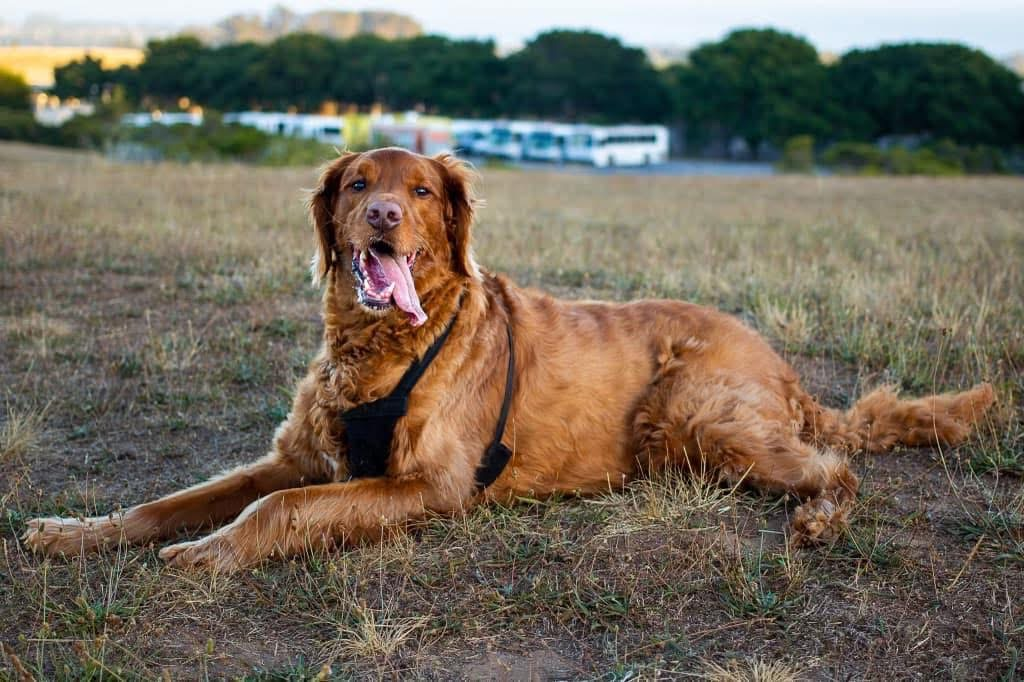 user avatar image for Len