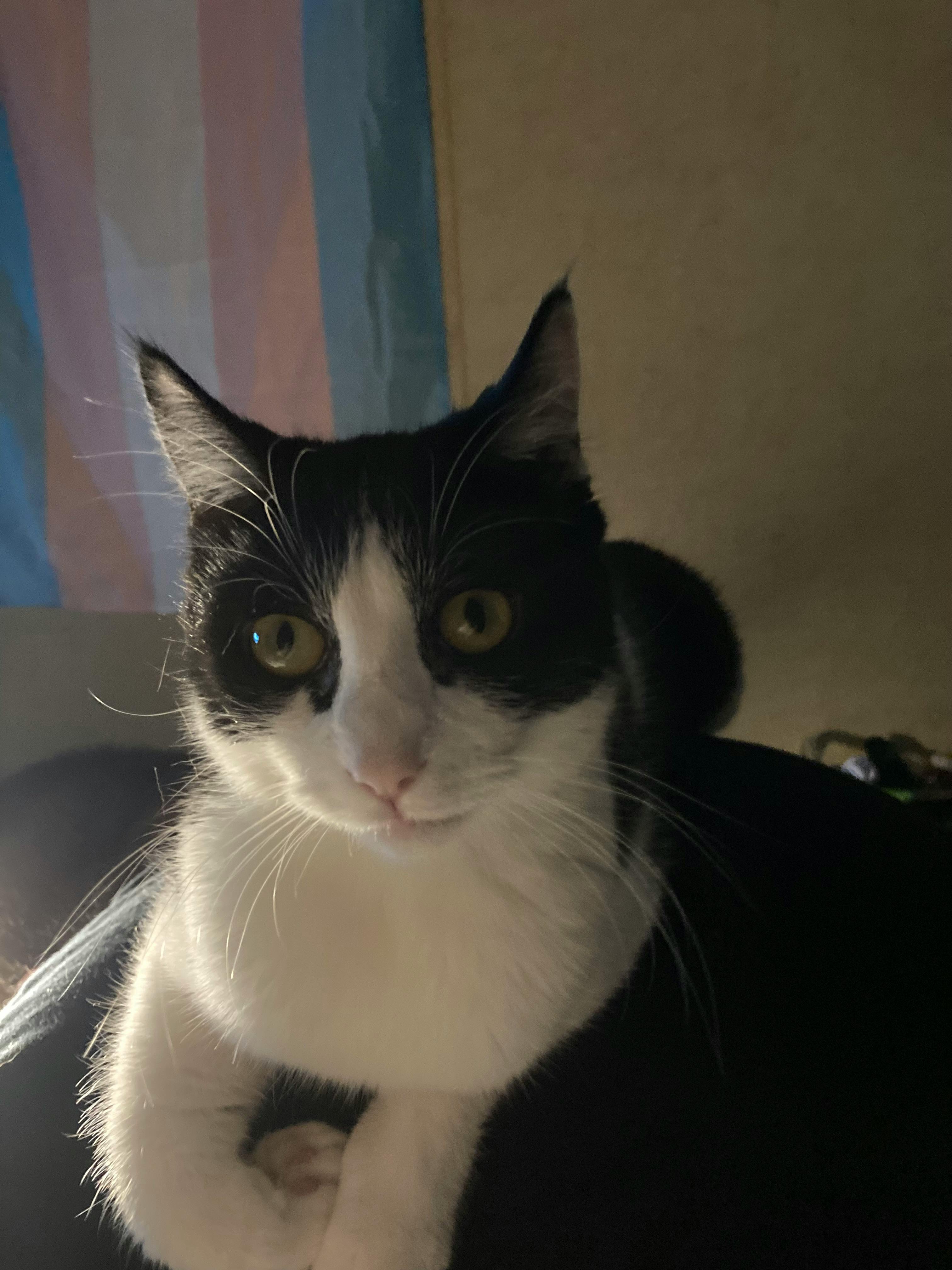 user avatar image for Brennan