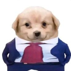 user avatar image for unPip