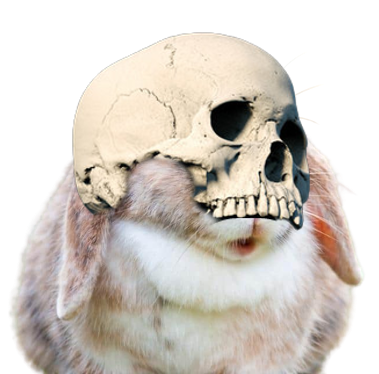 user avatar image for Debora