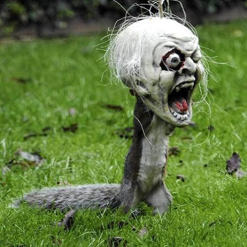 user avatar image for Eric Thompson