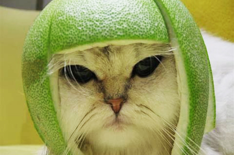 user avatar image for omonubi